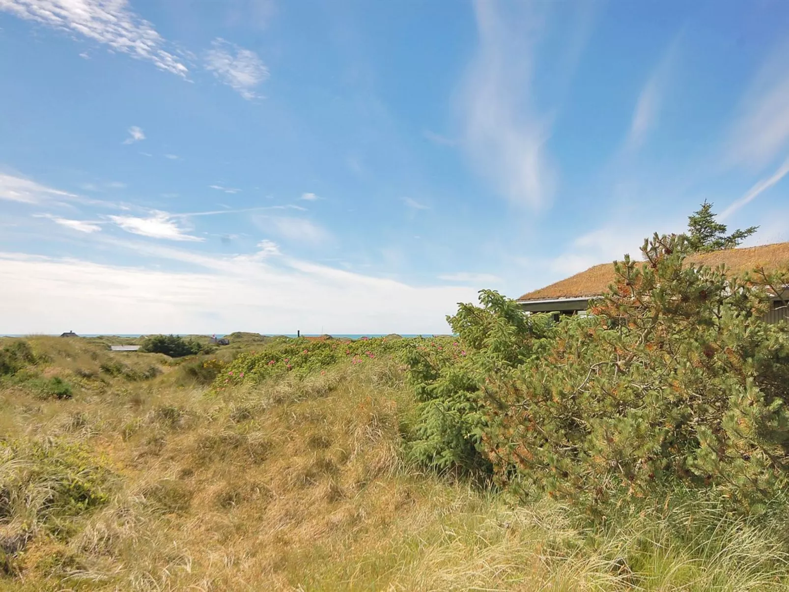 "Ehawee" - 350m from the sea-Outside