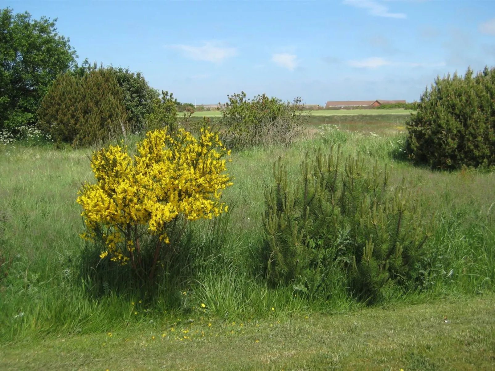 "Karlsefni" - 600m to the inlet-Outside