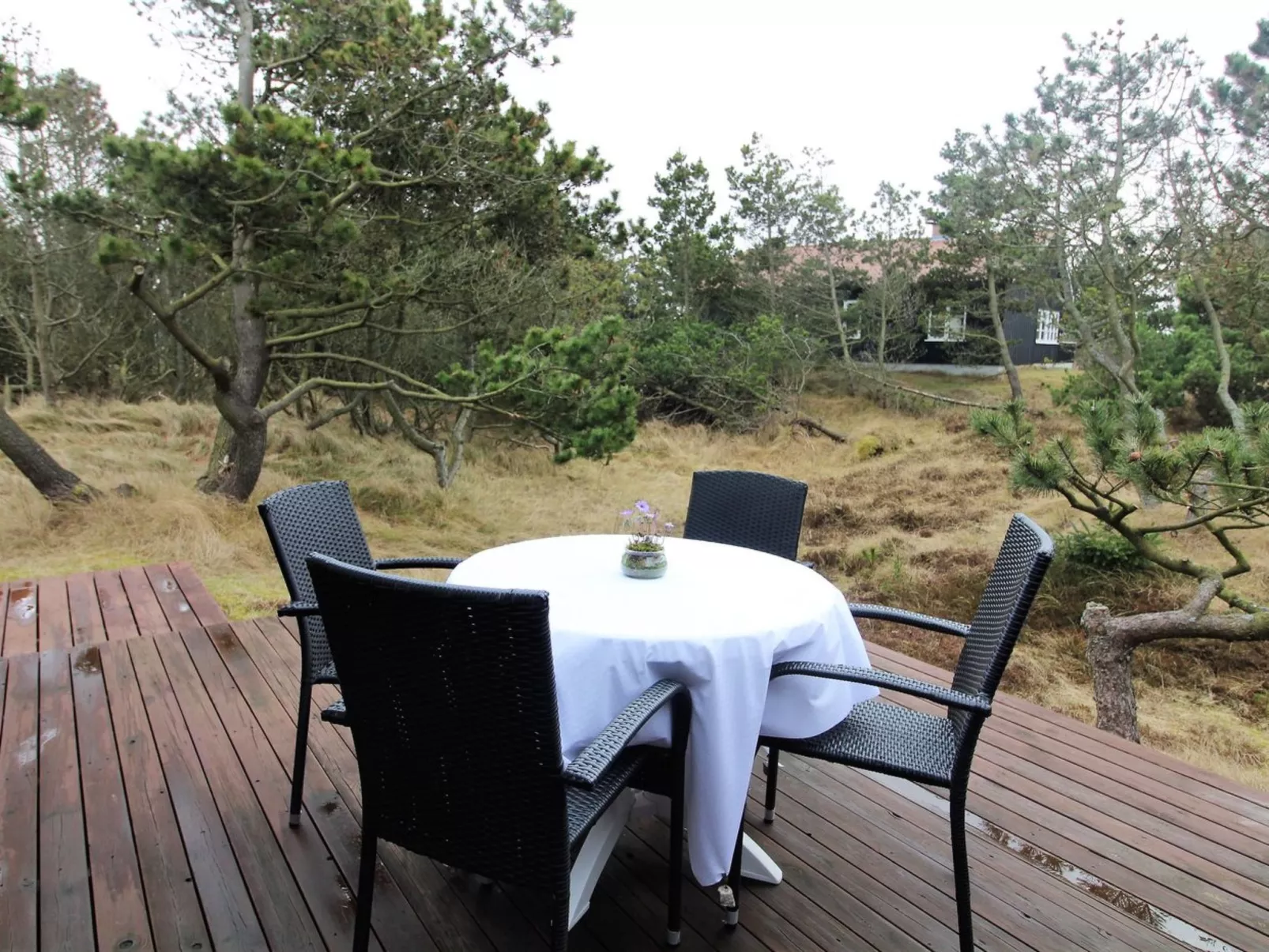 "Glady" - 500m from the sea-Outside