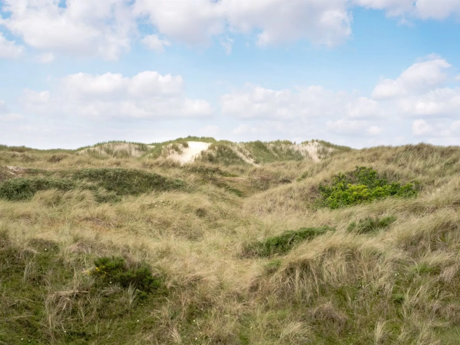 "Thrond" - 200m from the sea-Outside