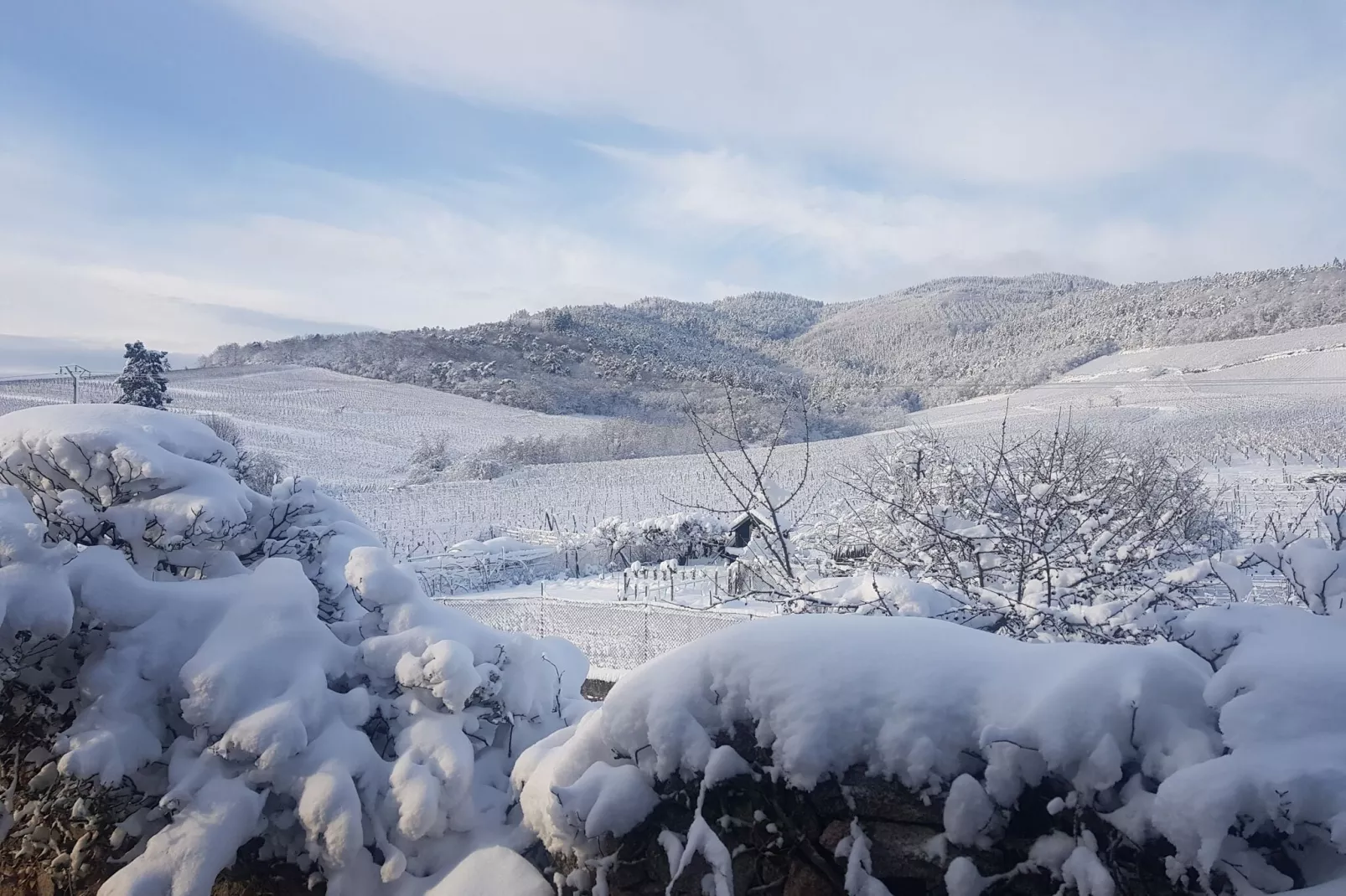 Grand Gite North-Area winter 20km