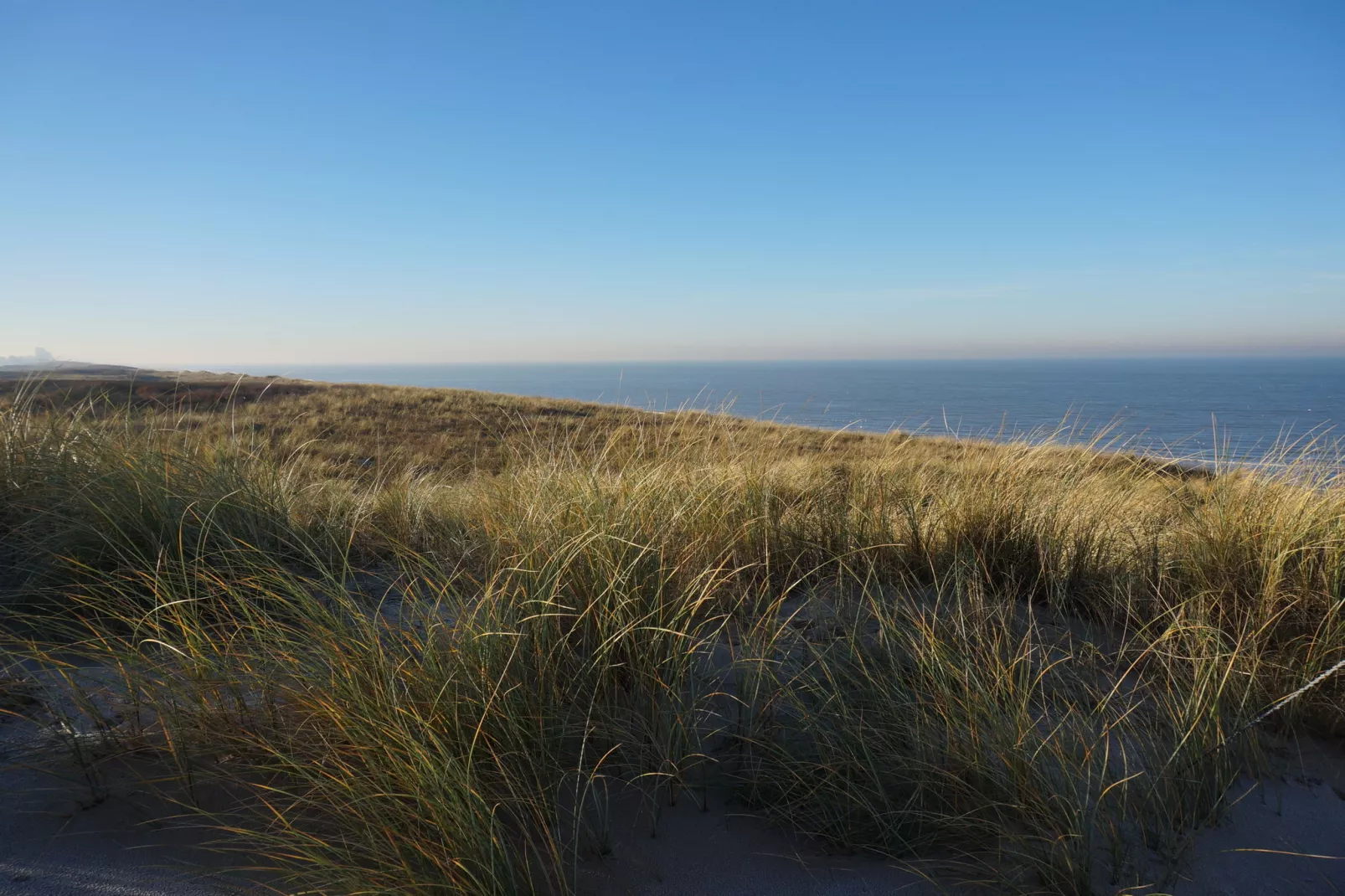 Bungalowpark 't Lappennest 4-Areas summer 5km