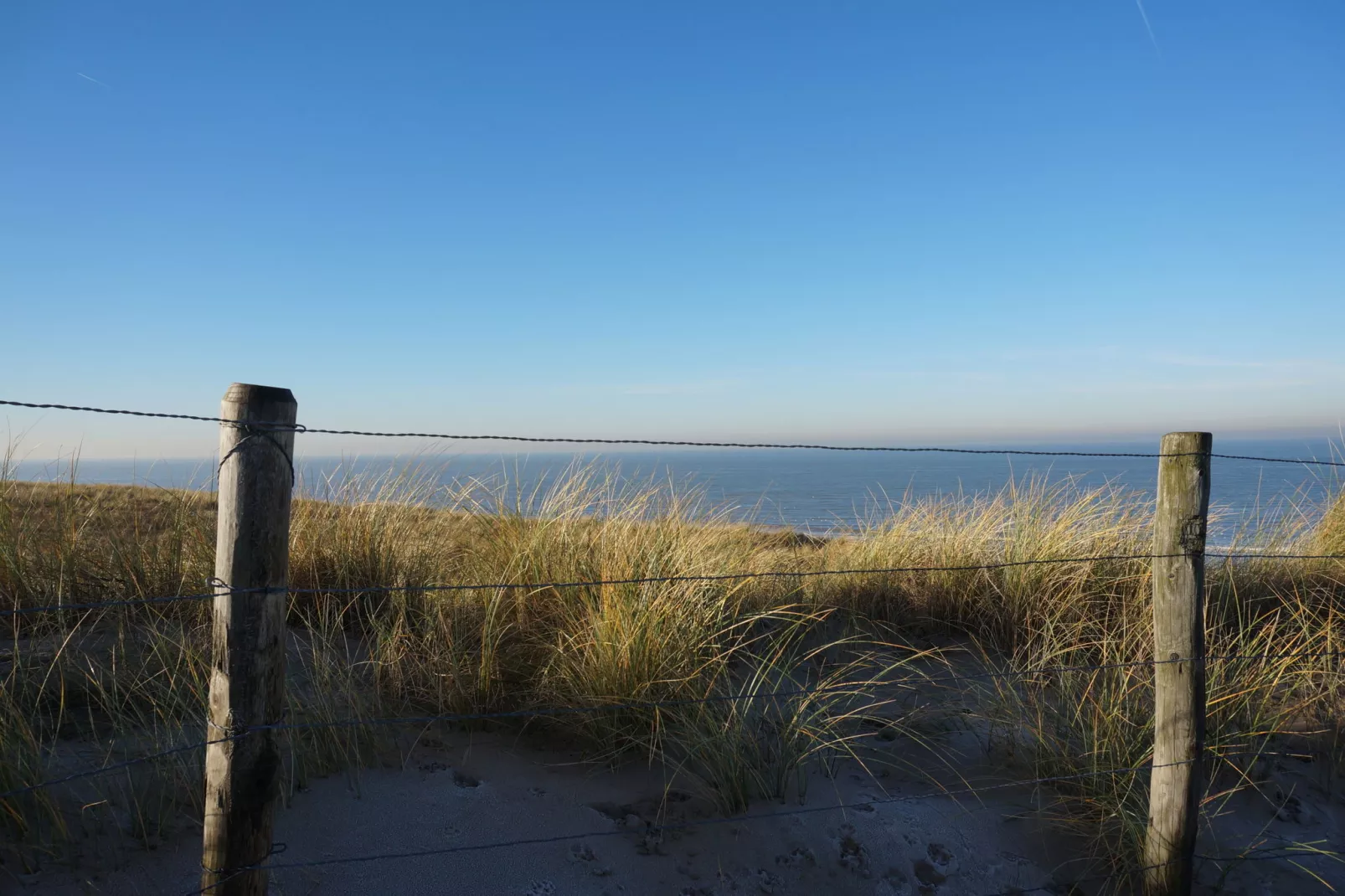 Bungalowpark 't Lappennest 4-Areas summer 5km
