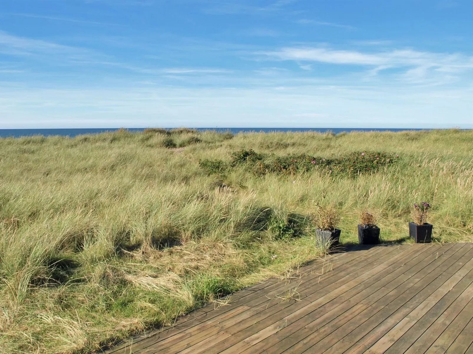 "Stintje" - 20m from the sea-Draußen