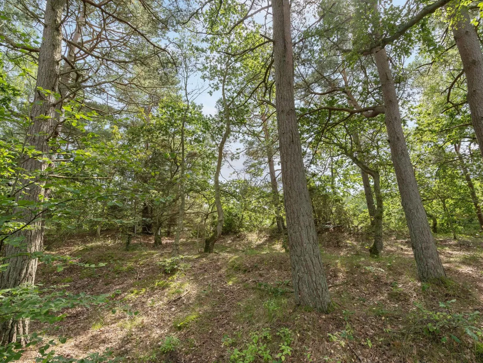 "Ros" - 350m from the sea-Outside