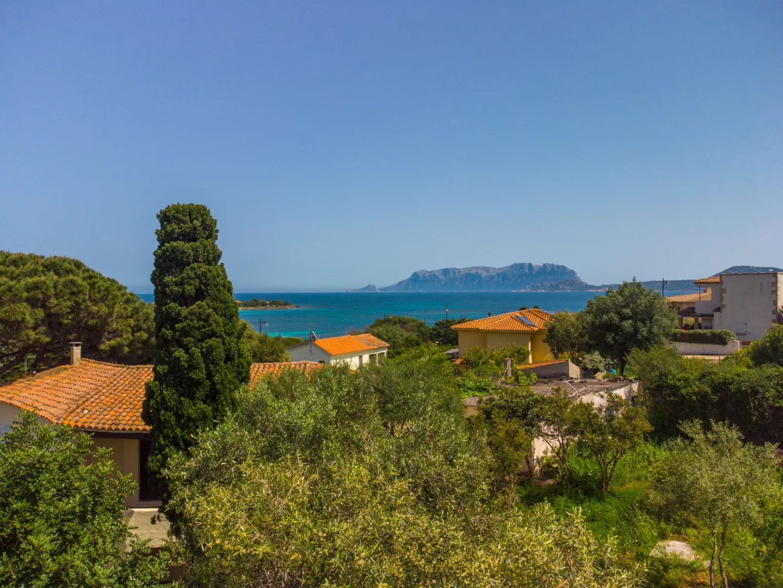 Pellicano-Outside