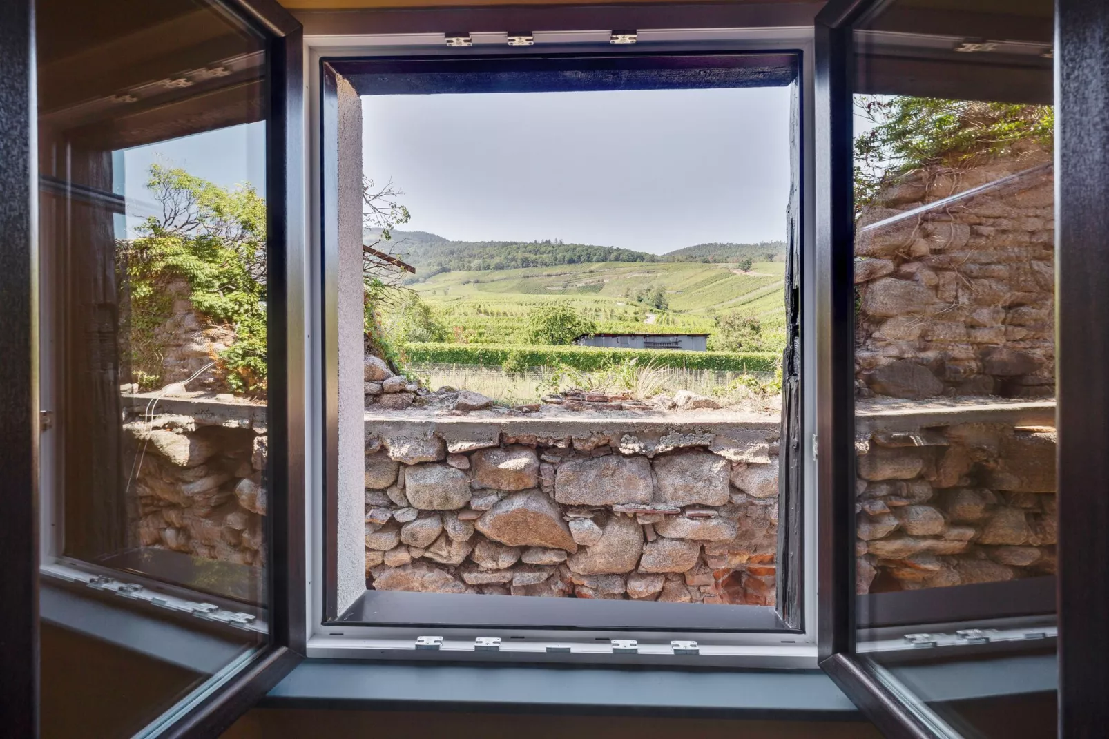 Magnifique Appartement Alsacien-View summer