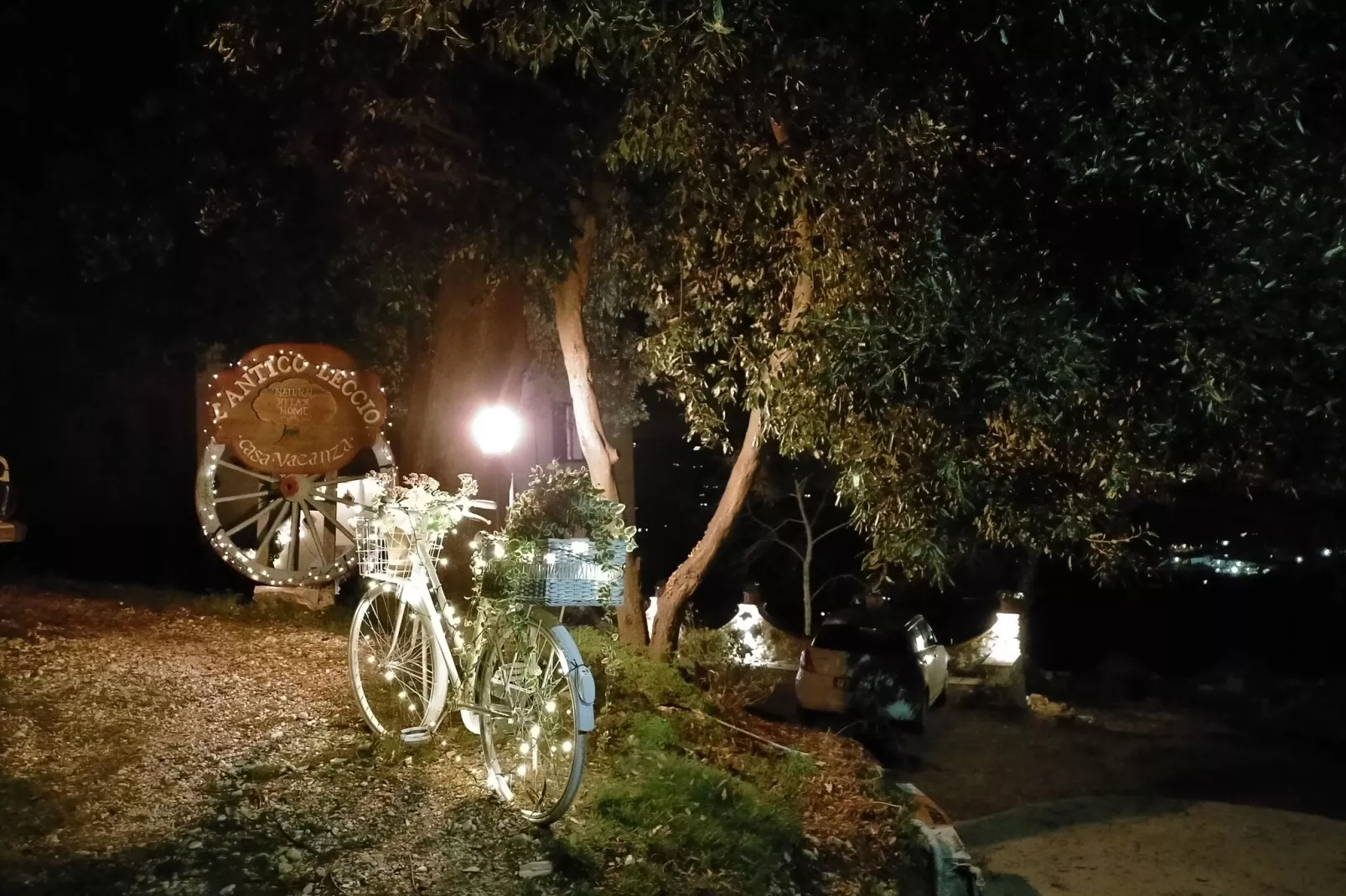 Antico Leccio-Atmosphere