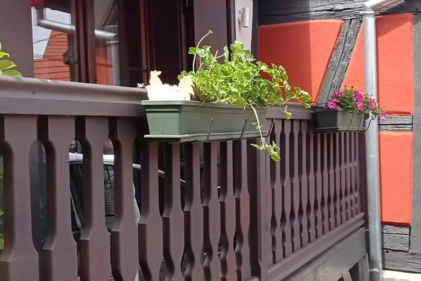 Magnifique Appartement Alsacien-Exterior summer