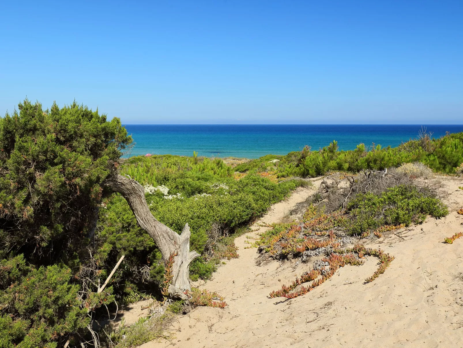 Baia delle Mimose-Outside