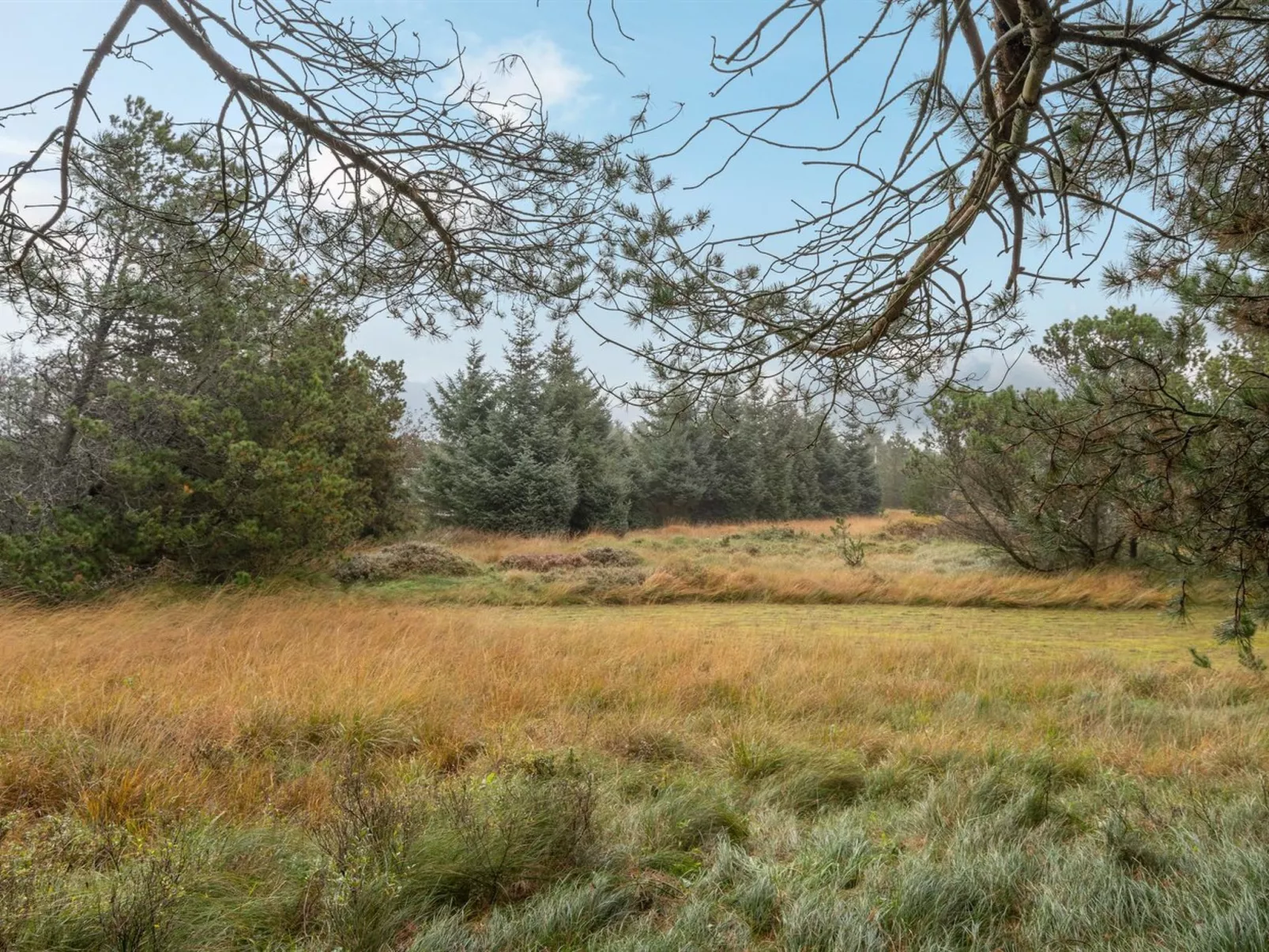 "Aulikki" - 900m from the sea-Outside