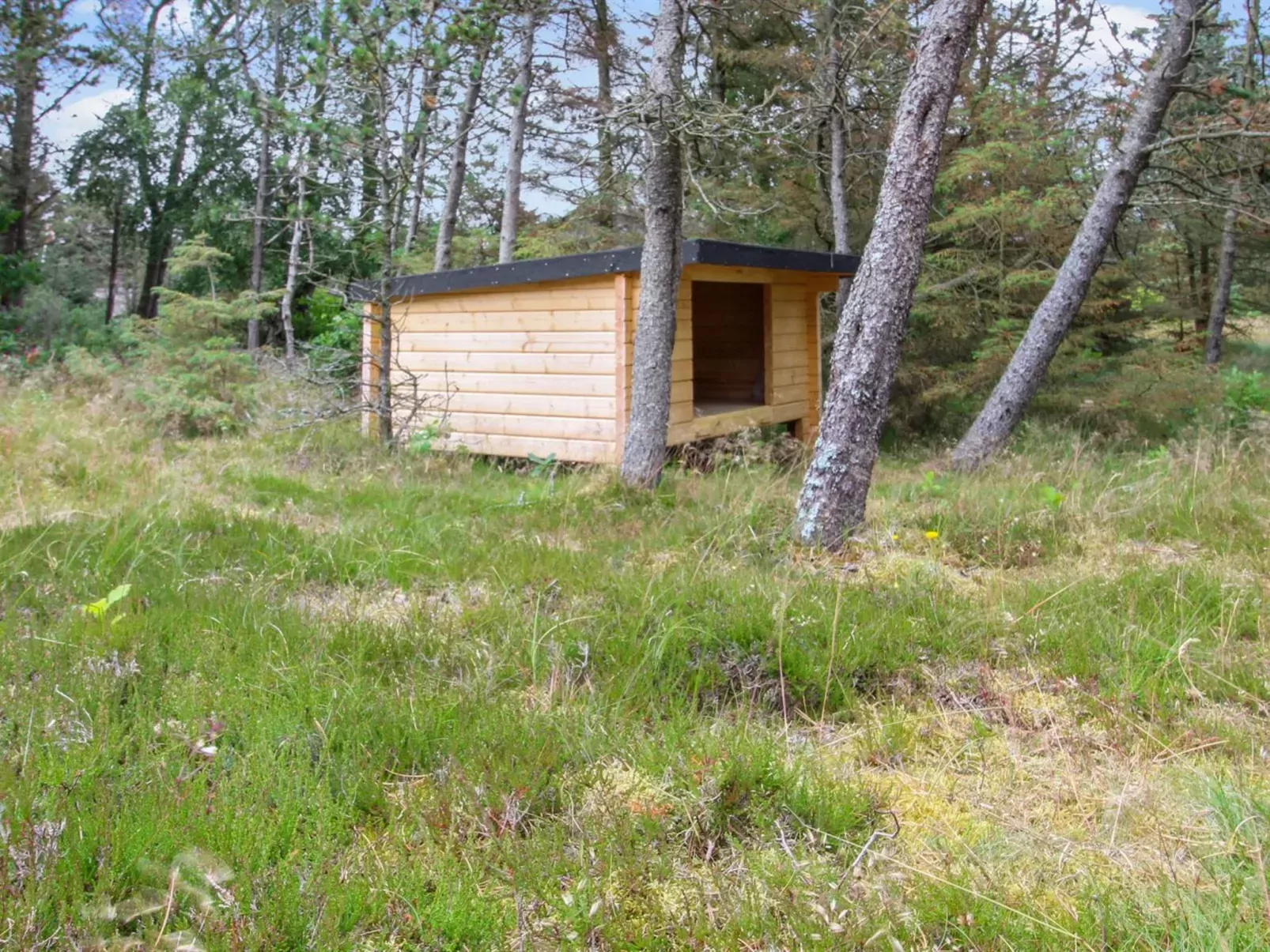 "Tove" - 1.5km from the sea-Outside