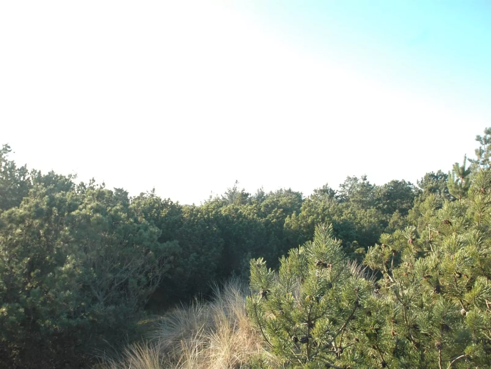 "Jon" - 400m from the sea-Outside