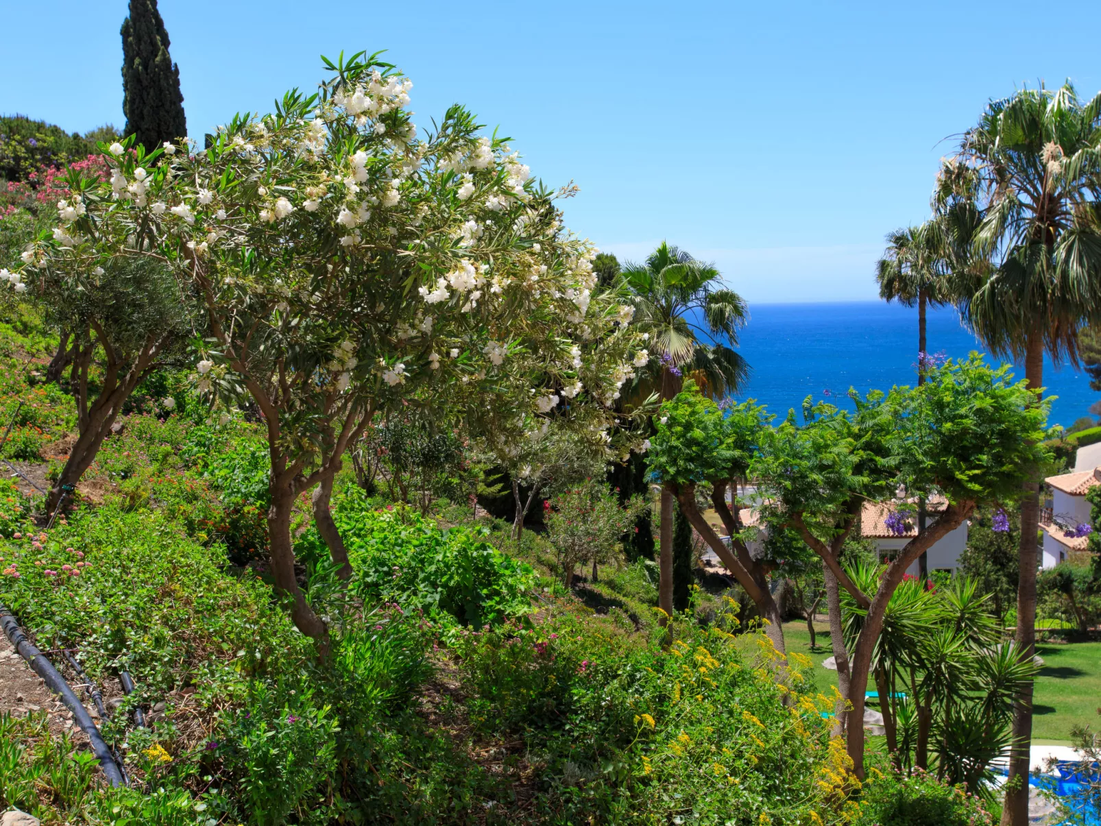 Ladera del Mar-Outside