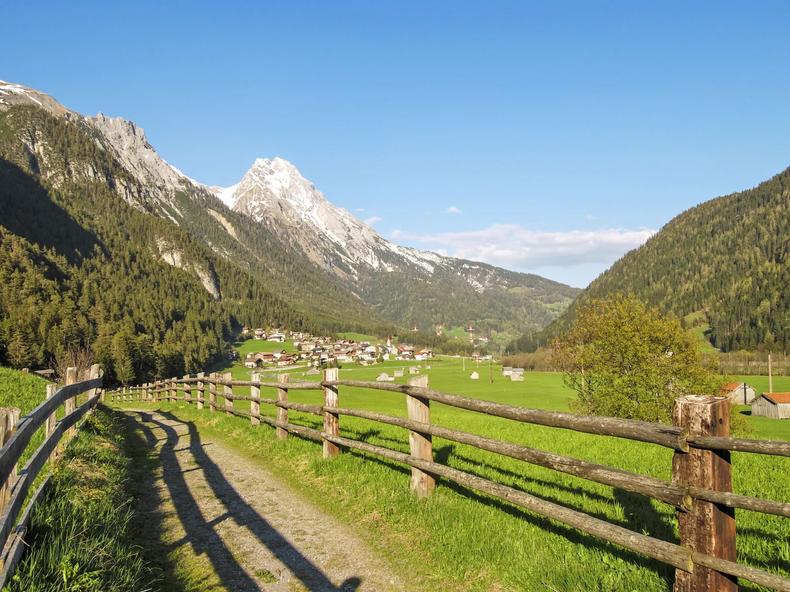 Schuler-Area