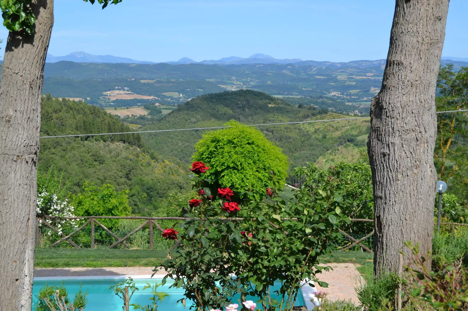 Rocca-View summer