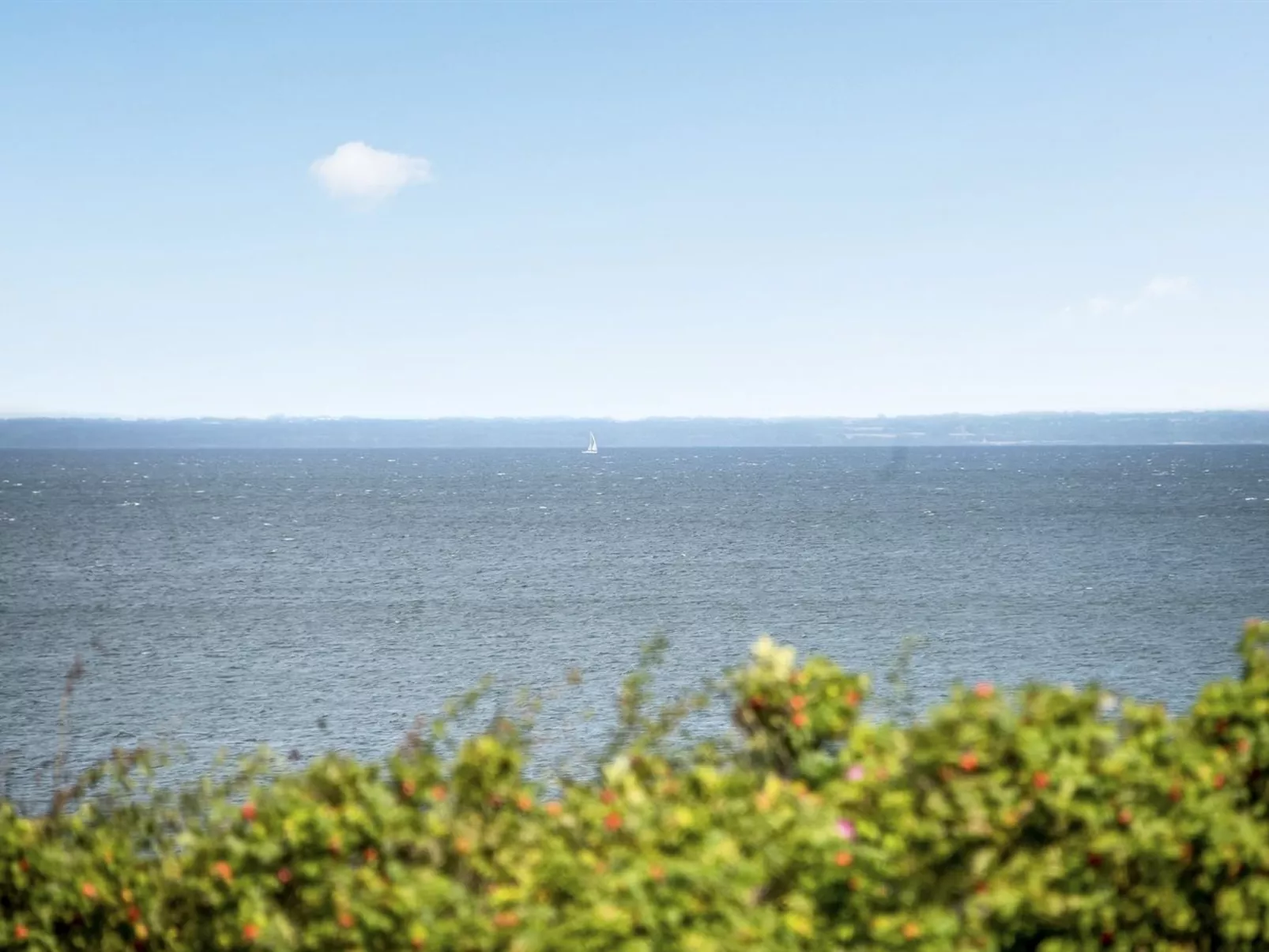 "Elfi" - 30m from the sea-Outside