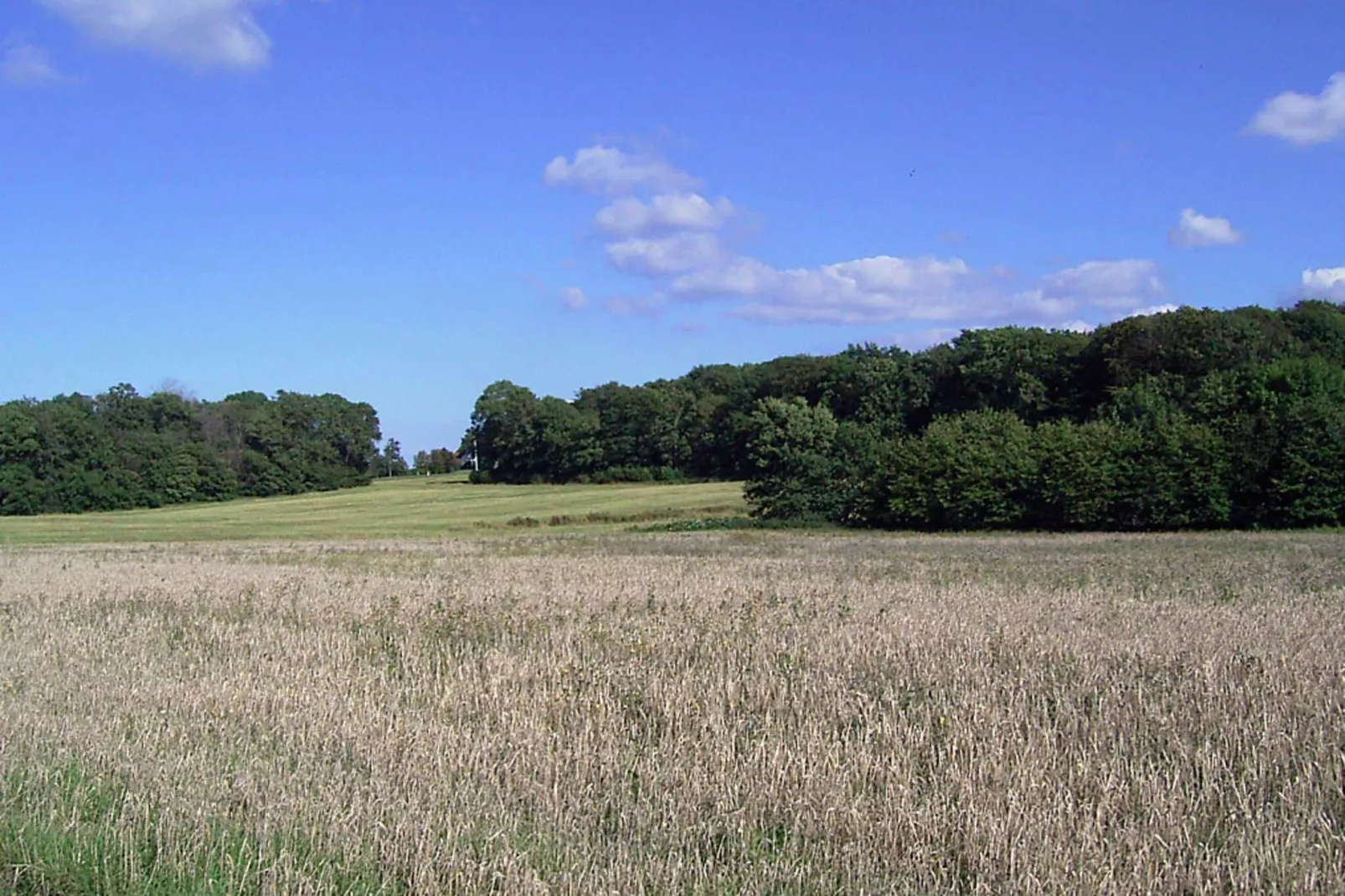 4 Personen Ferienhaus in Gudhjem-By Traum