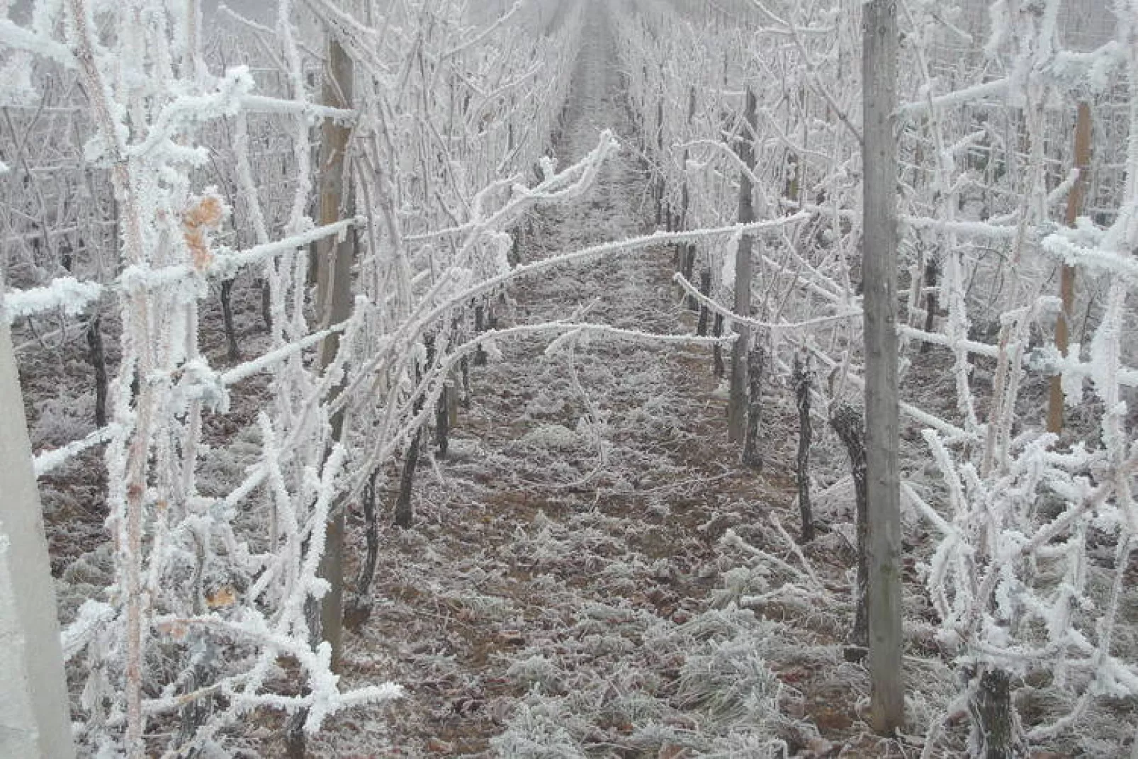 La Stub-Area winter 5km