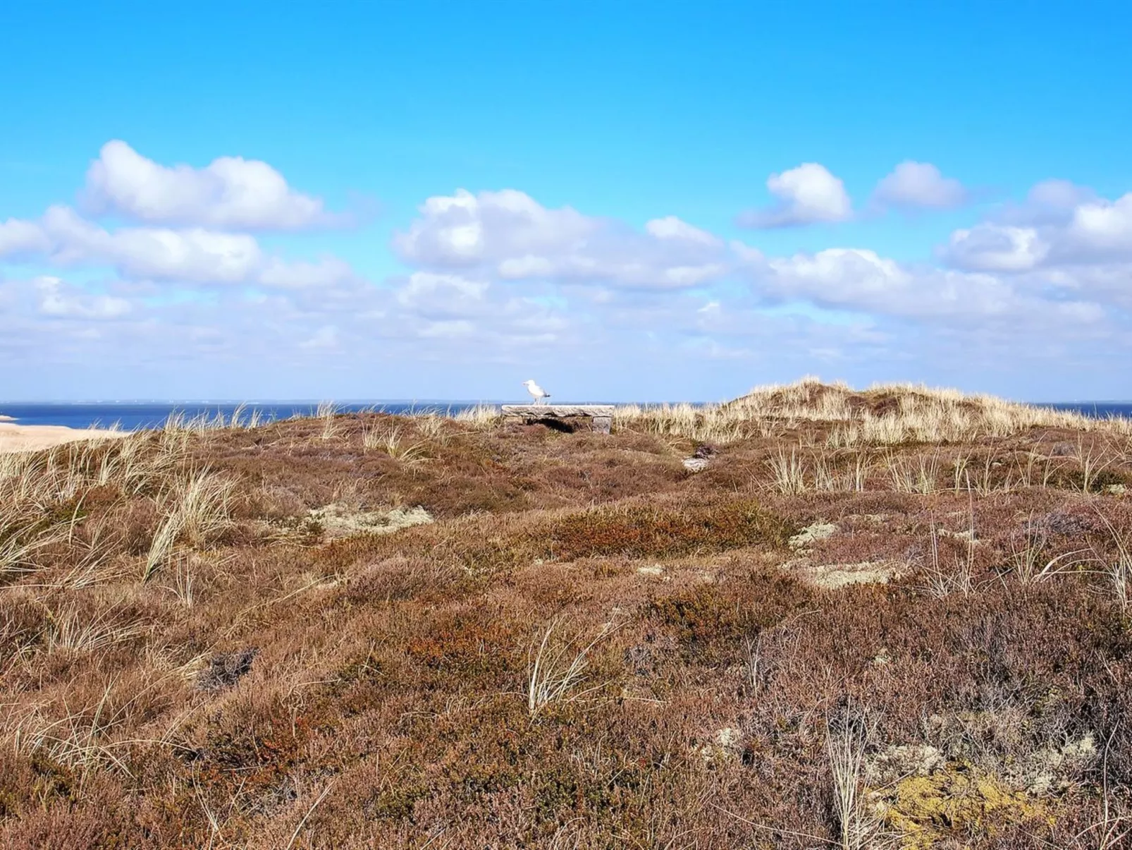 "Sutere" - 200m to the inlet-Draußen