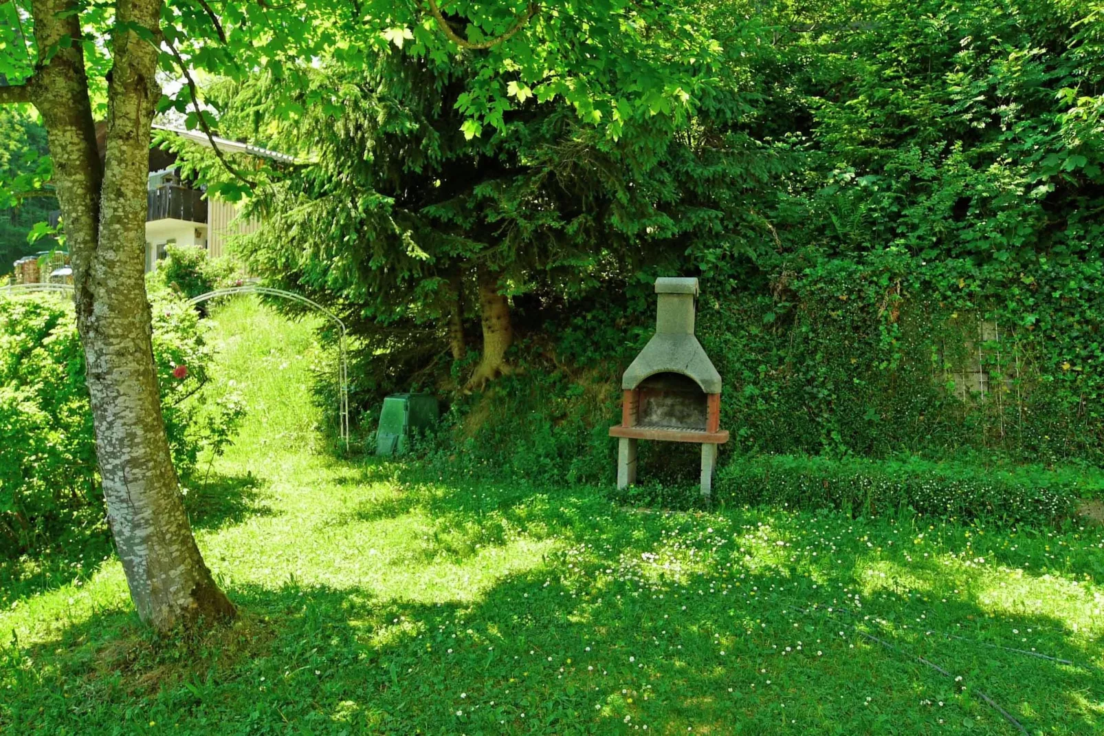 Barbara-Gardens summer