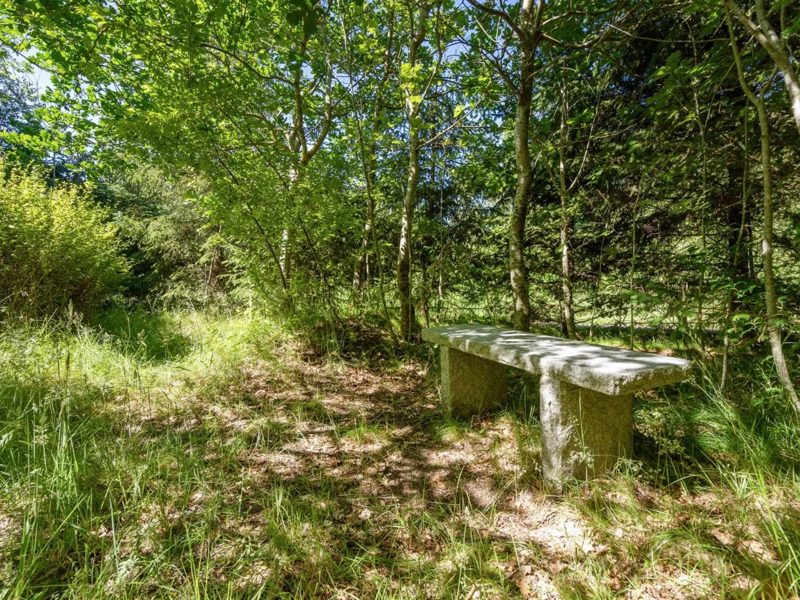 "Milda" - 1.9km from the sea-Outside