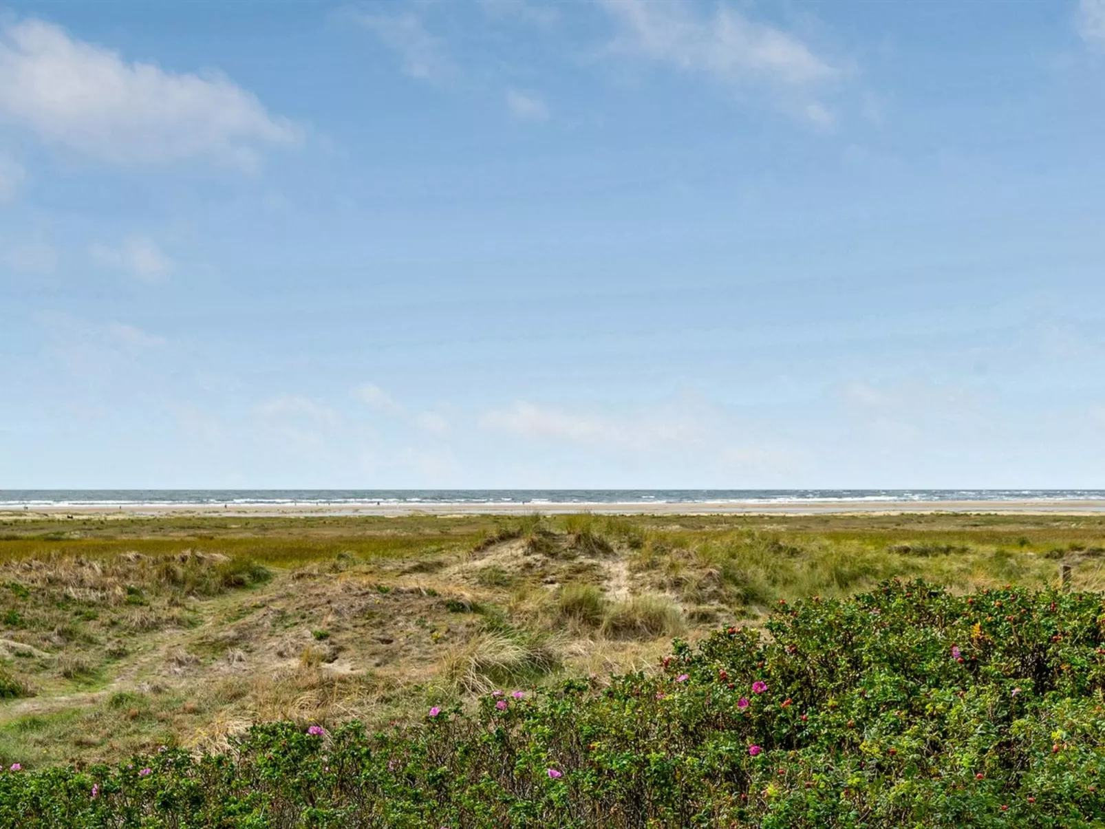 "Iliane" - 100m from the sea-Outside