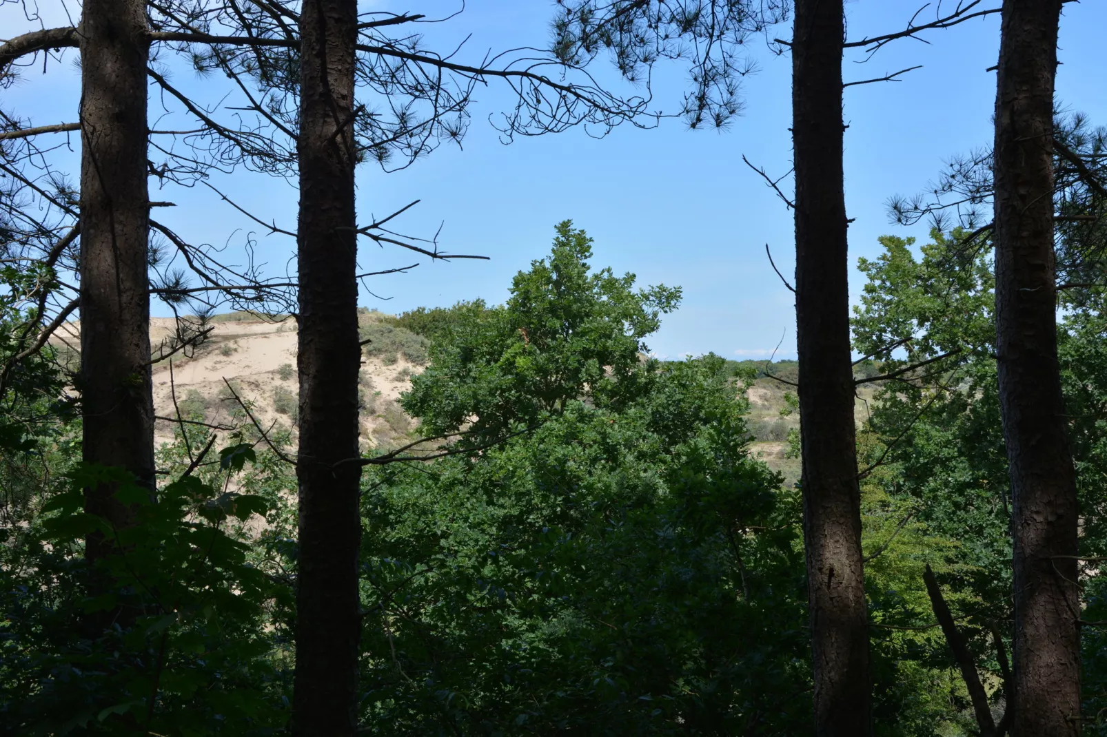 't Zeepaardje-Zones d'été à 5 km