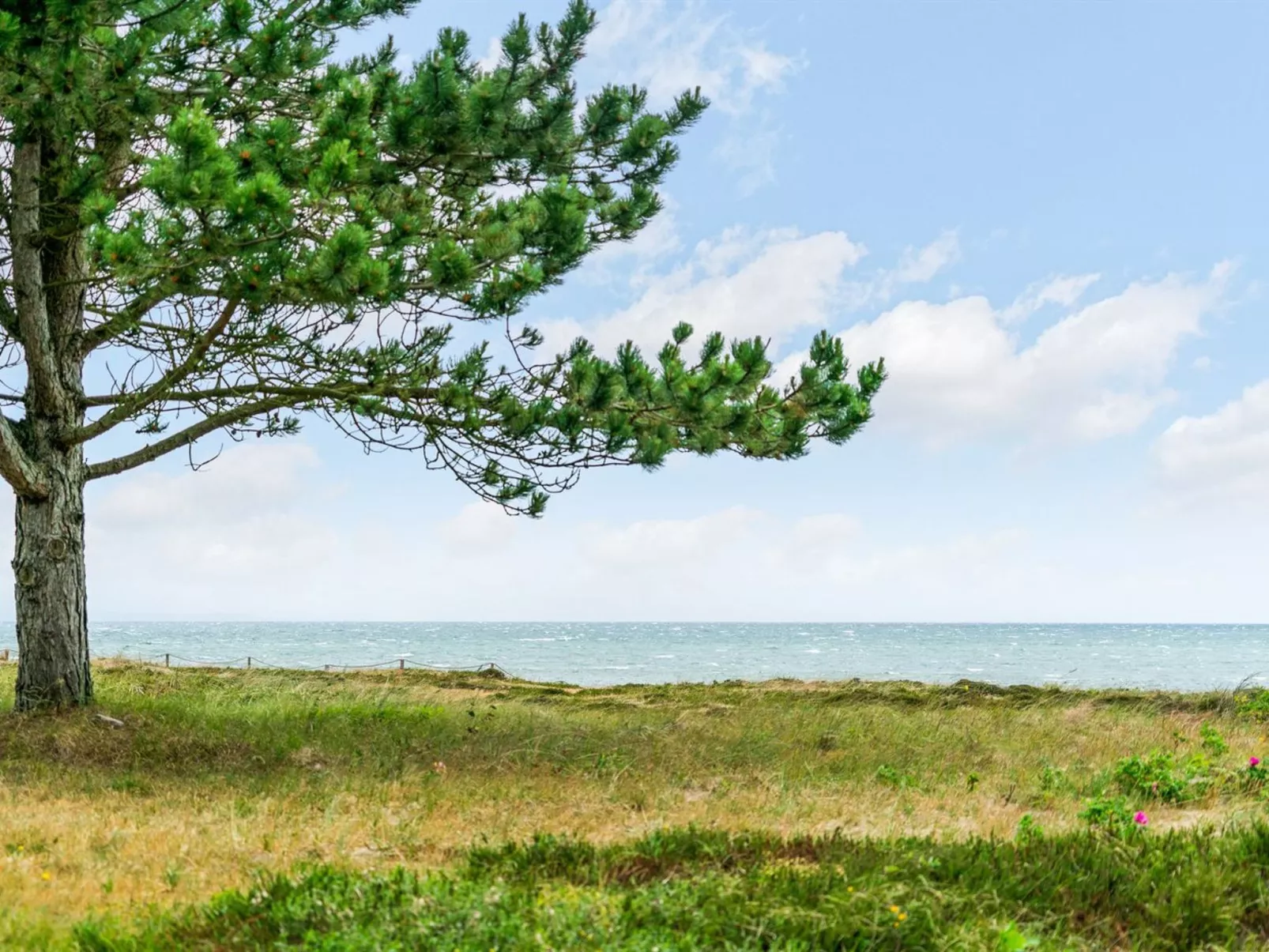 "Djuna" - 200m from the sea-Draußen