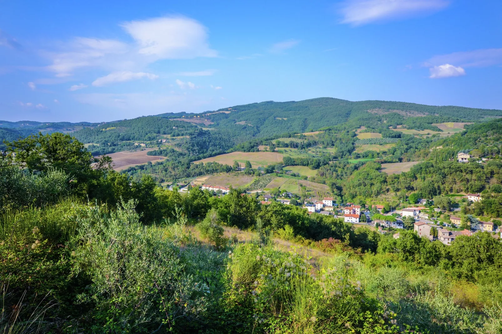 Giglio-Areas summer 1km