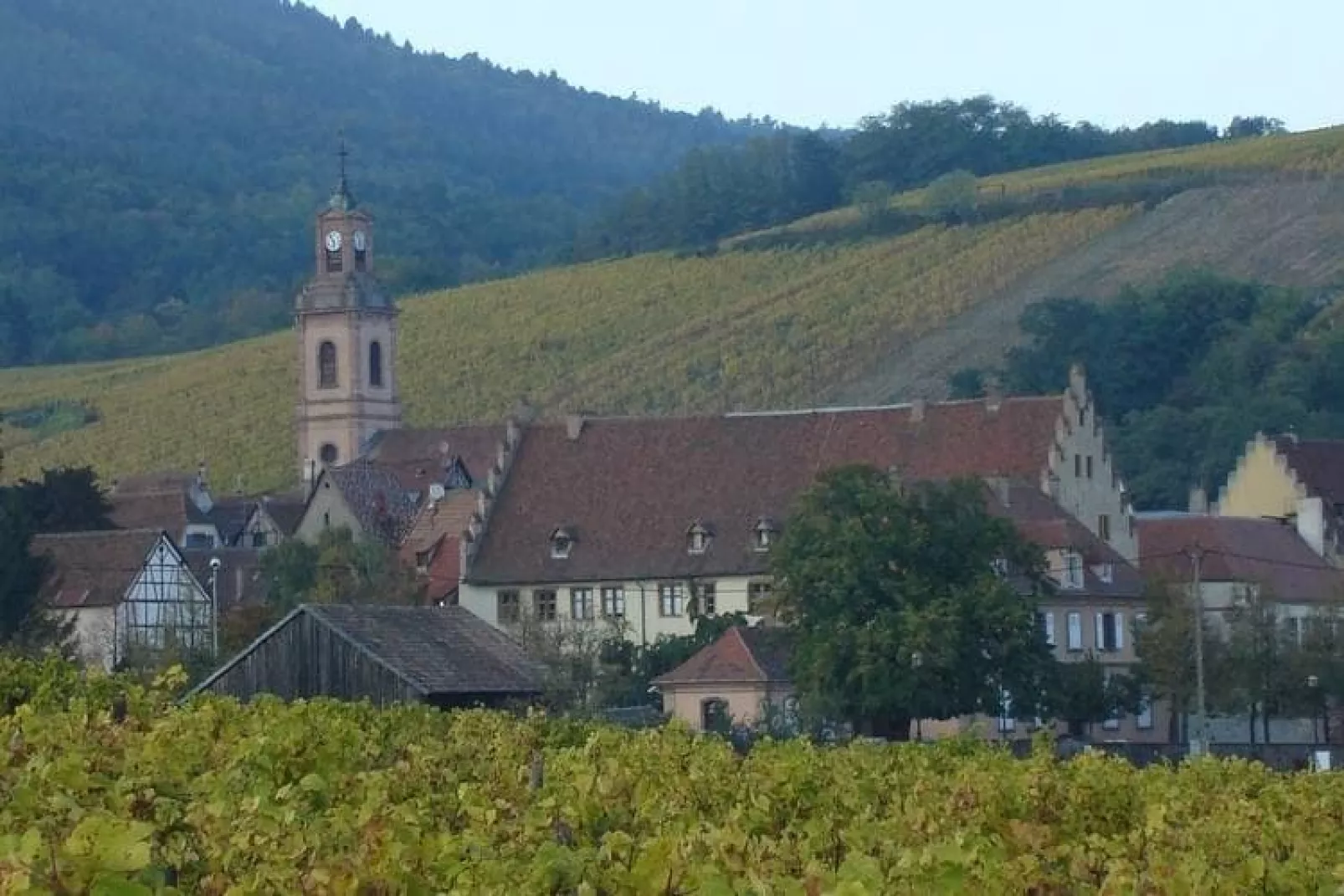 La Kuch-Areas summer 5km
