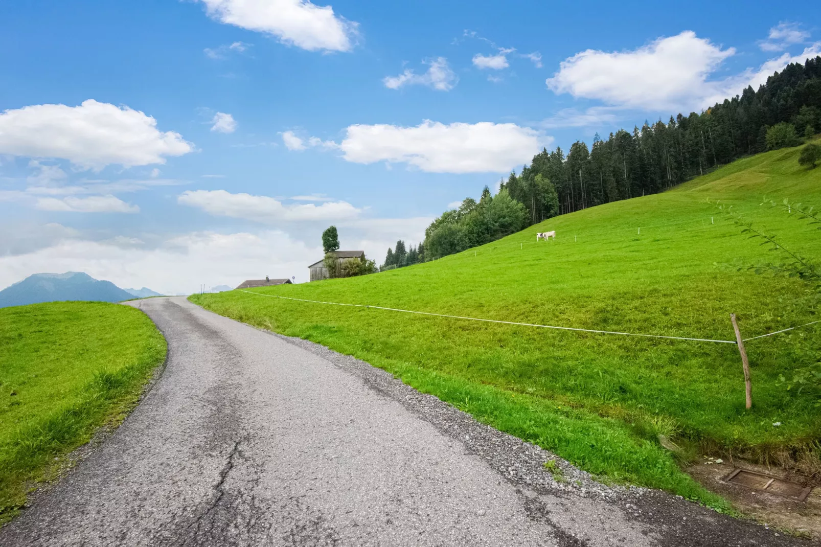 Spielmoos-Gebiete Sommer 1 km