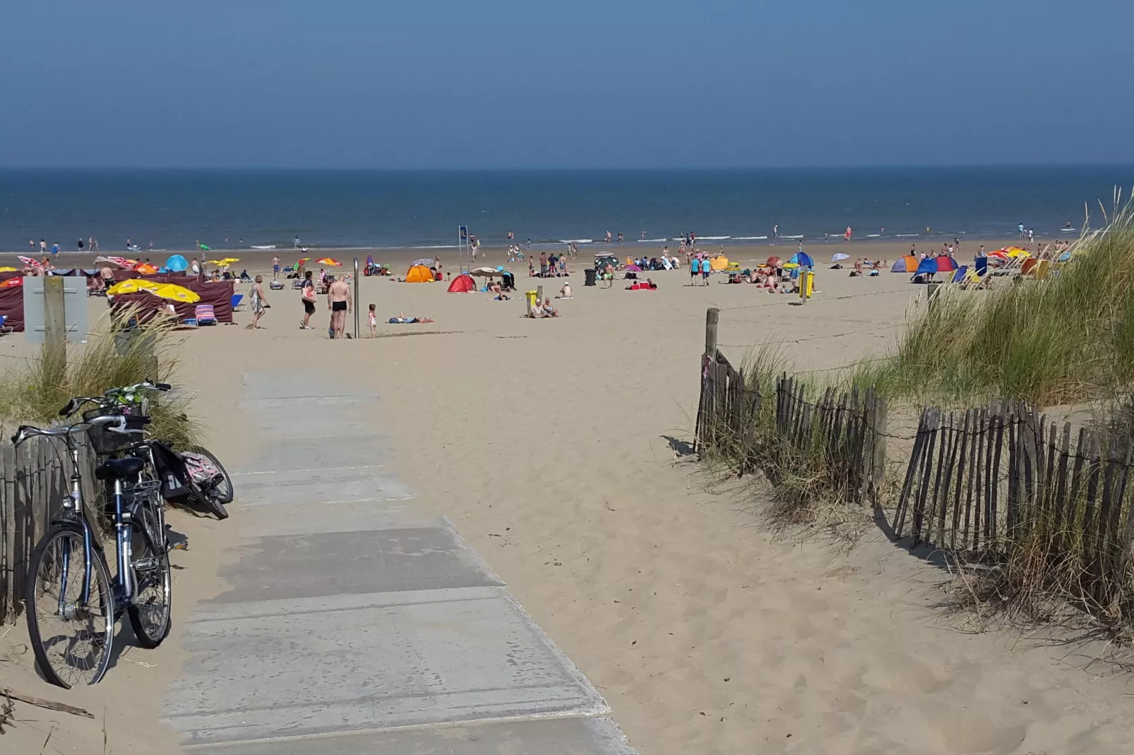 Meer & Zee-Areas summer 5km