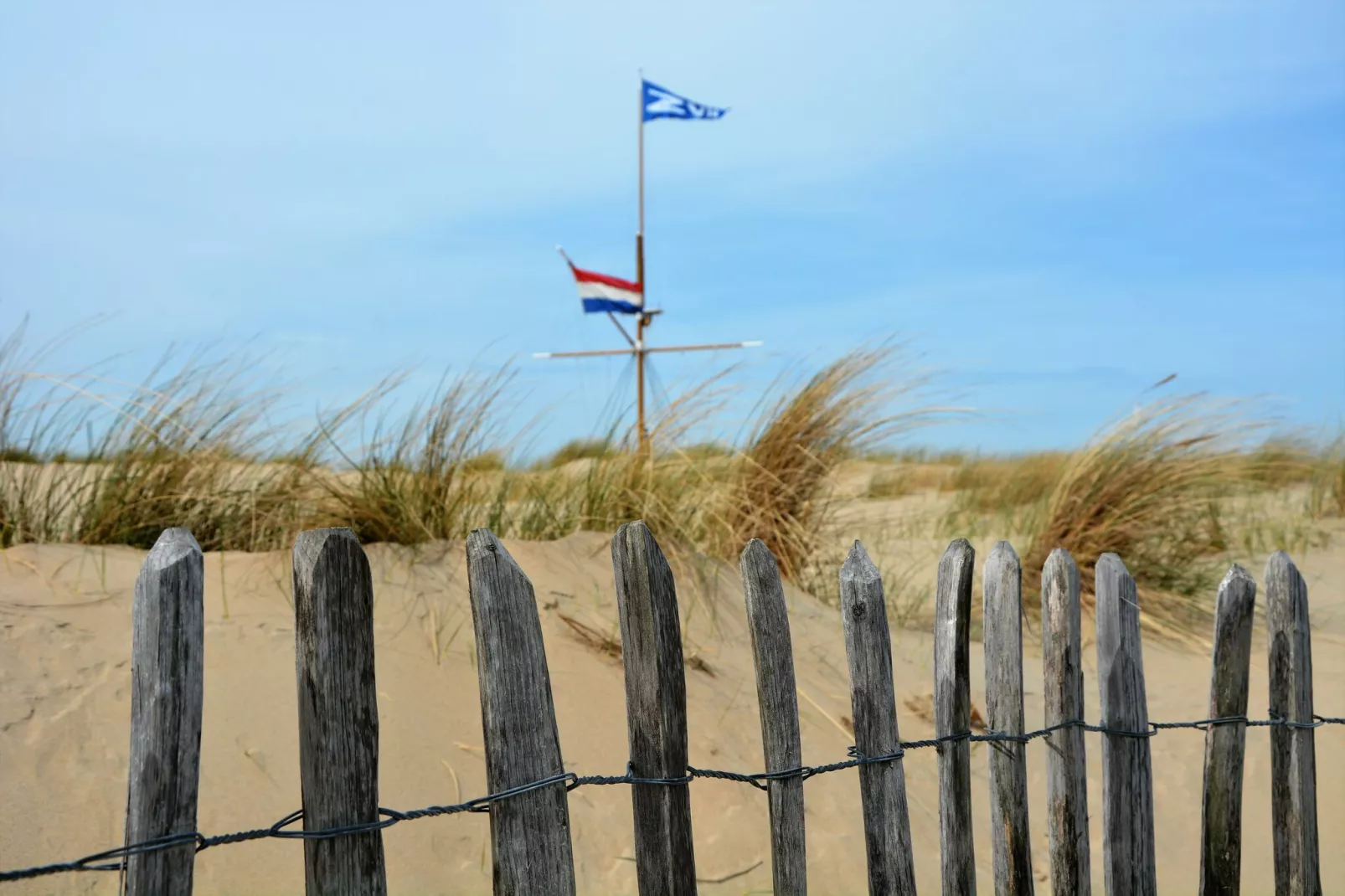 Meer & Zee-Areas summer 5km