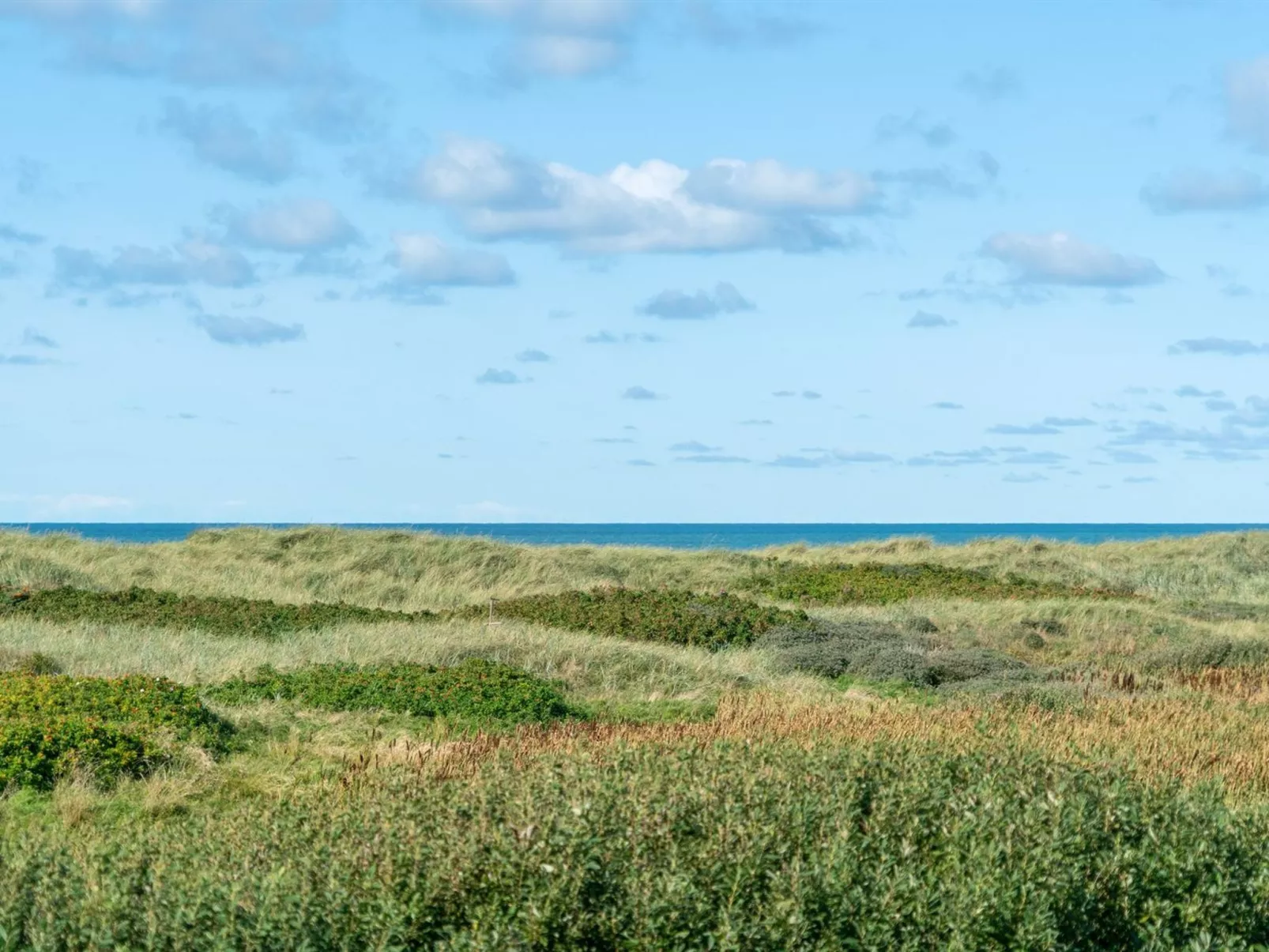 "Anne" - 100m from the sea-Outside