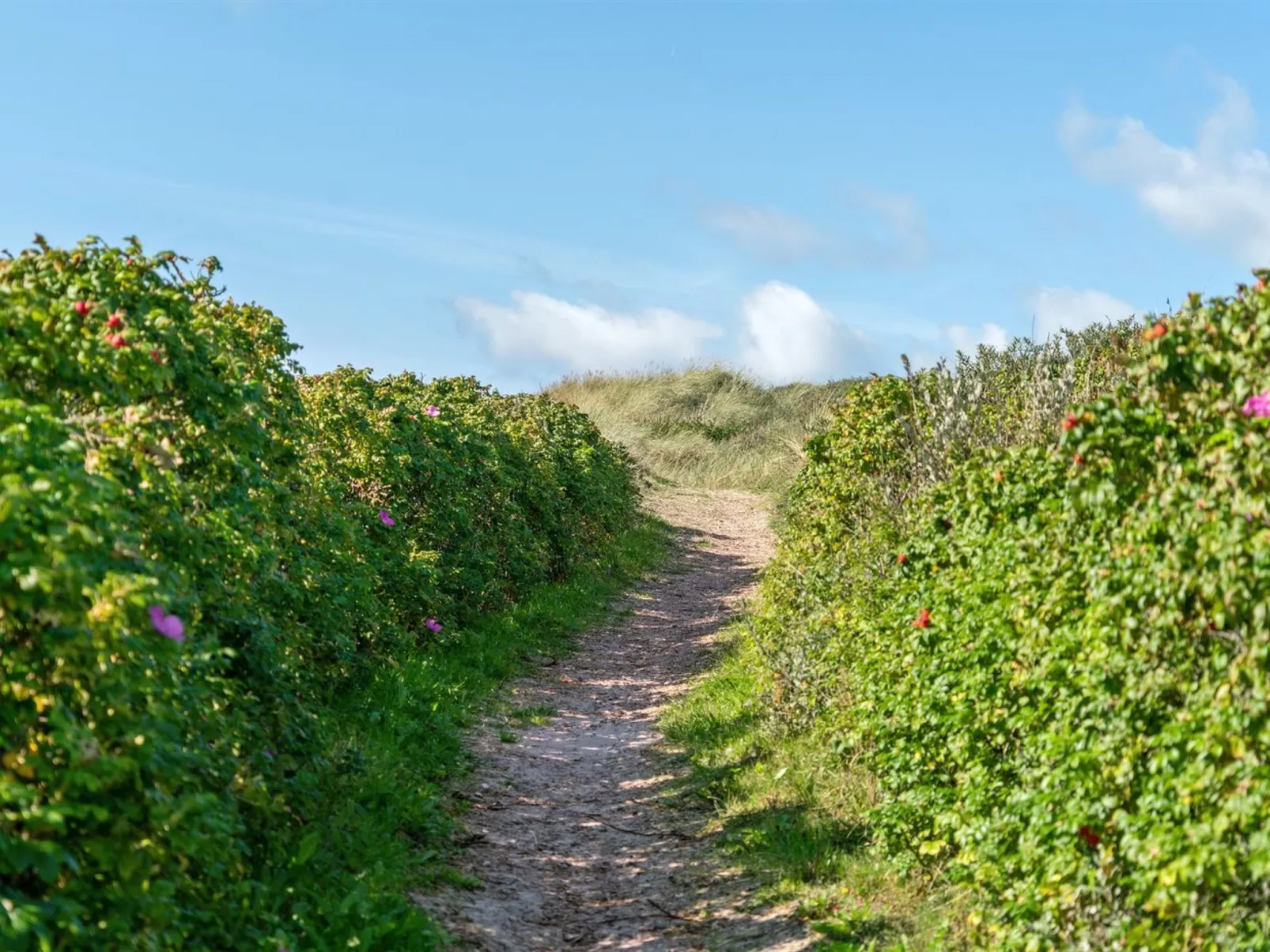 "Anne" - 100m from the sea-Outside