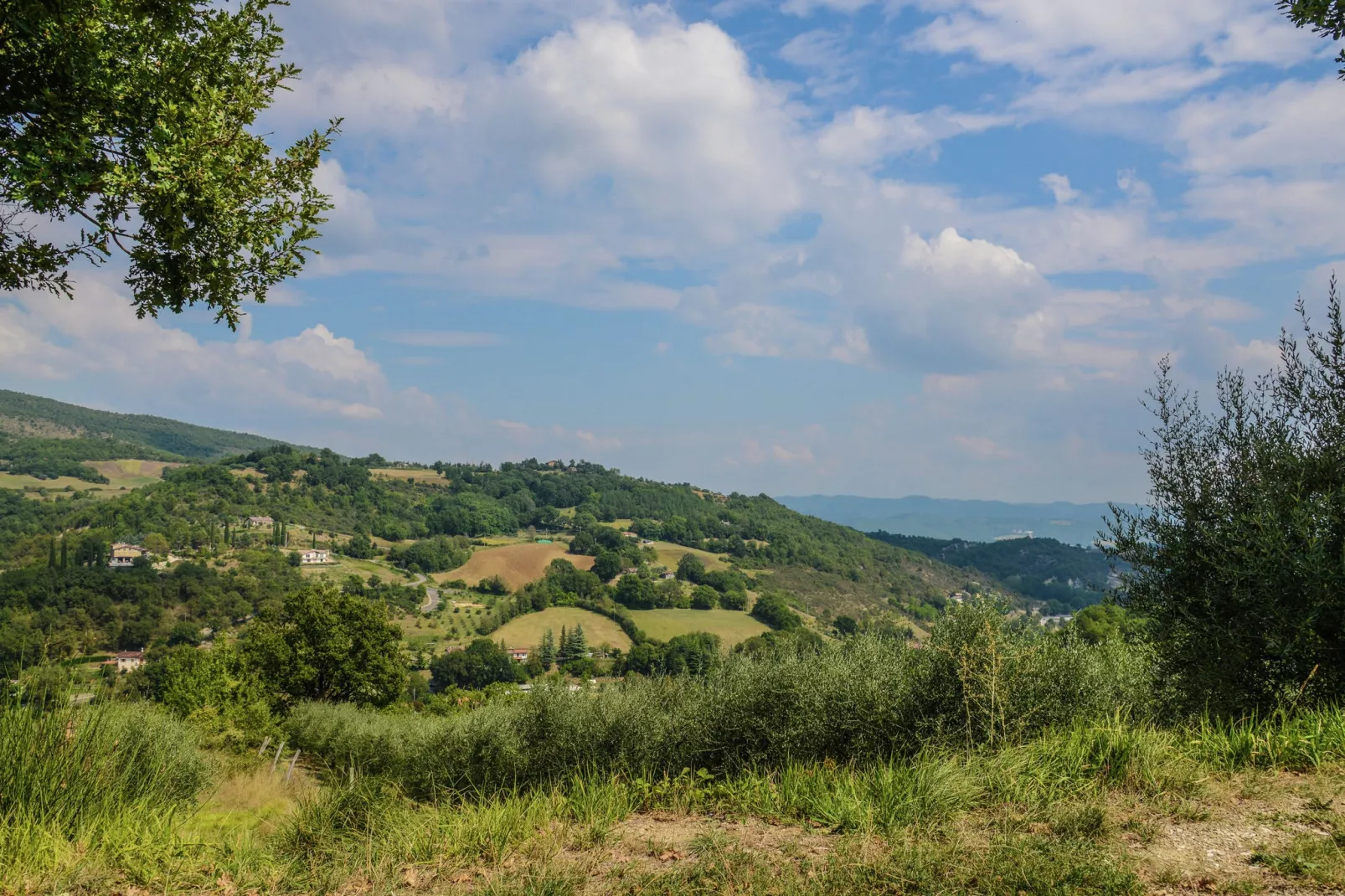 Granaio-View summer