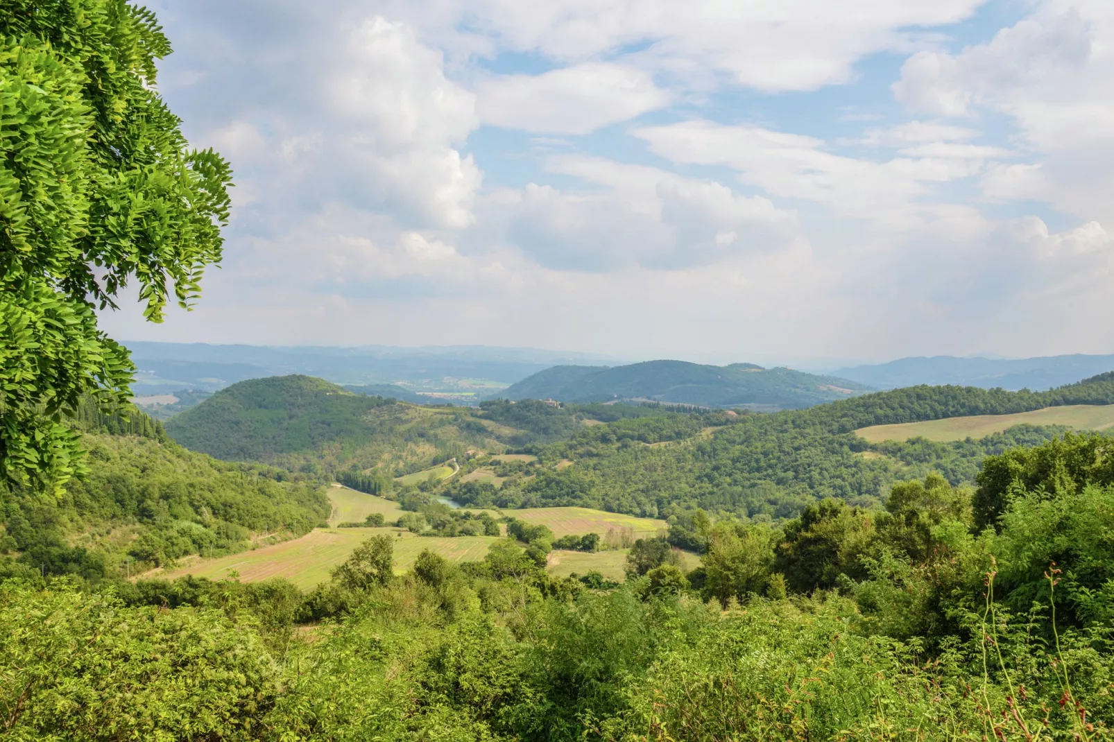 Granaio-View summer