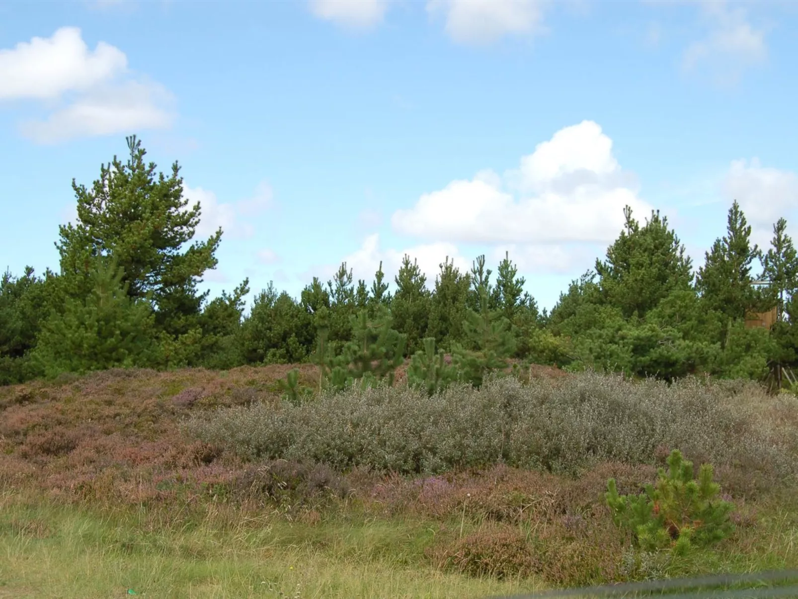 "Falki" - 2.5km from the sea-Dehors