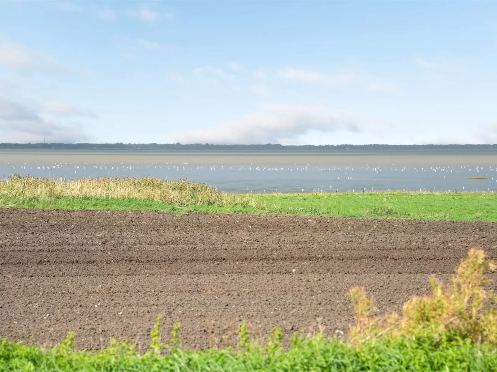"Kielo" - 10km from the sea-Outside