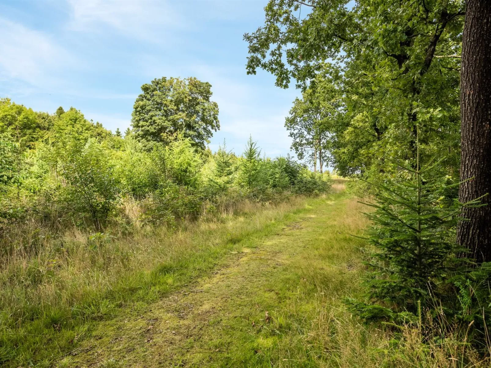 "Rasmus" - 29km from the sea-Outside