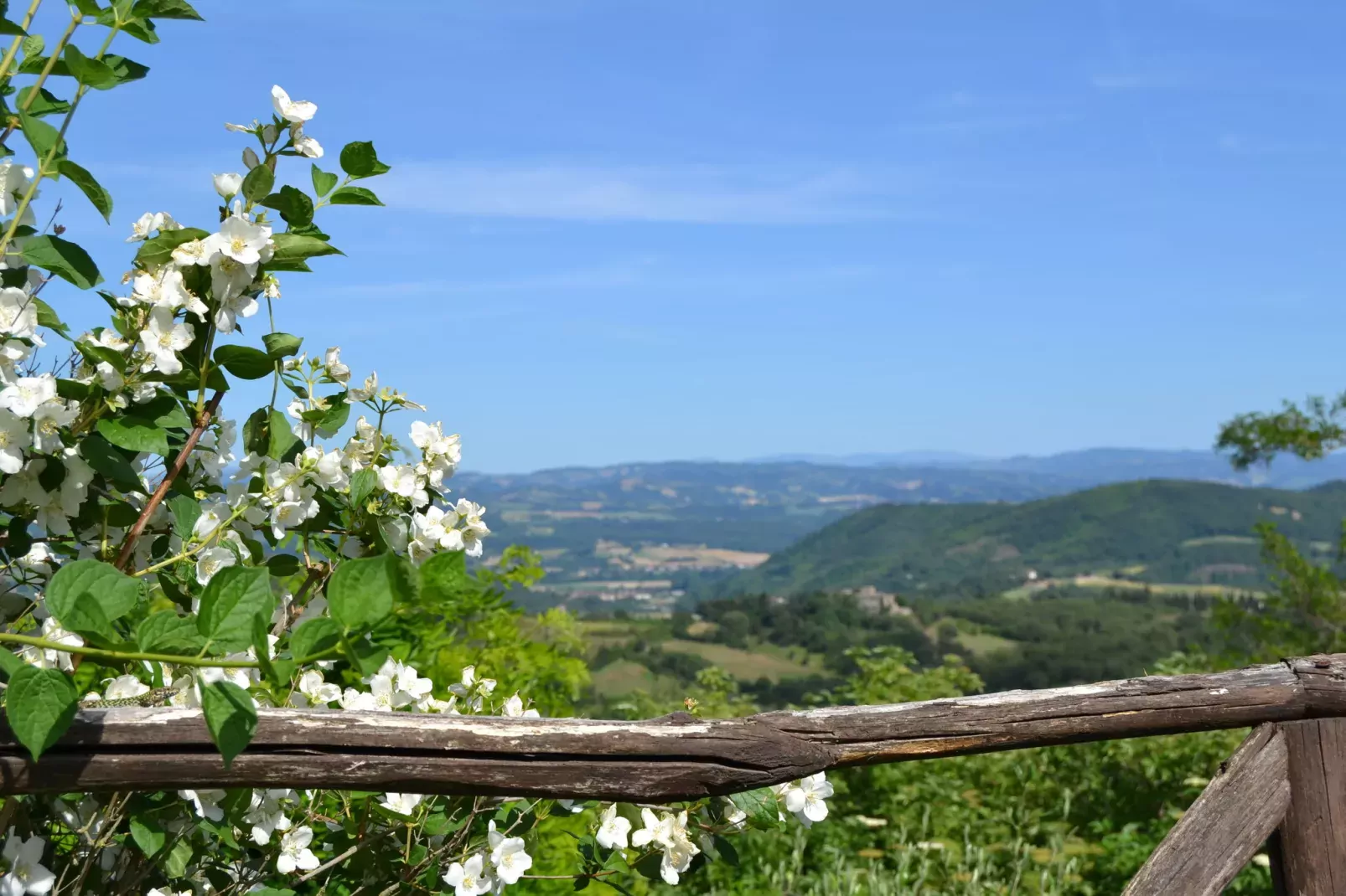 Loggia-View summer
