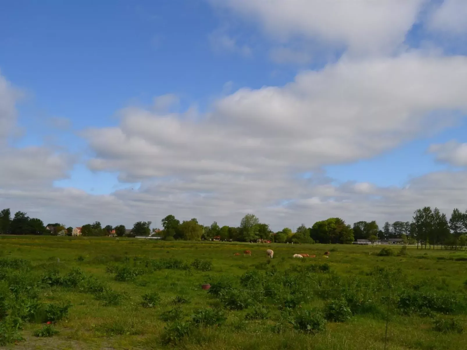 "Josina" - 32km from the sea-Outside
