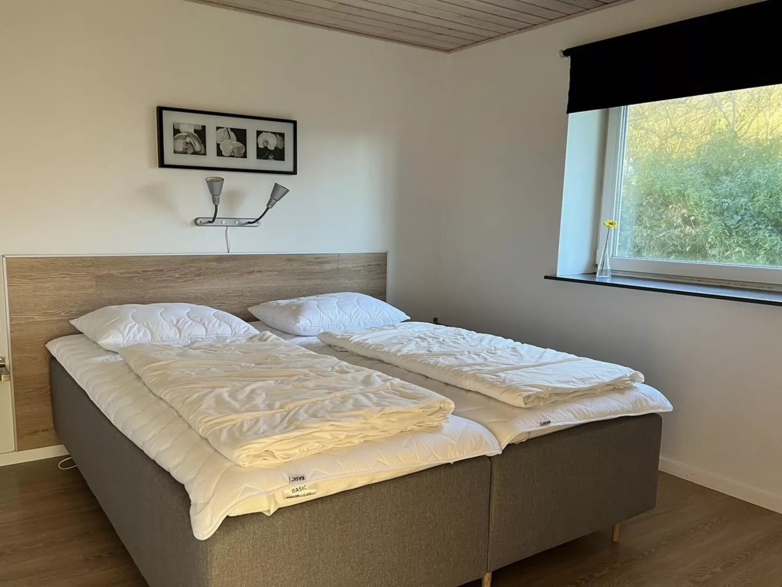 "Stefania" - 700m from the sea-Outside