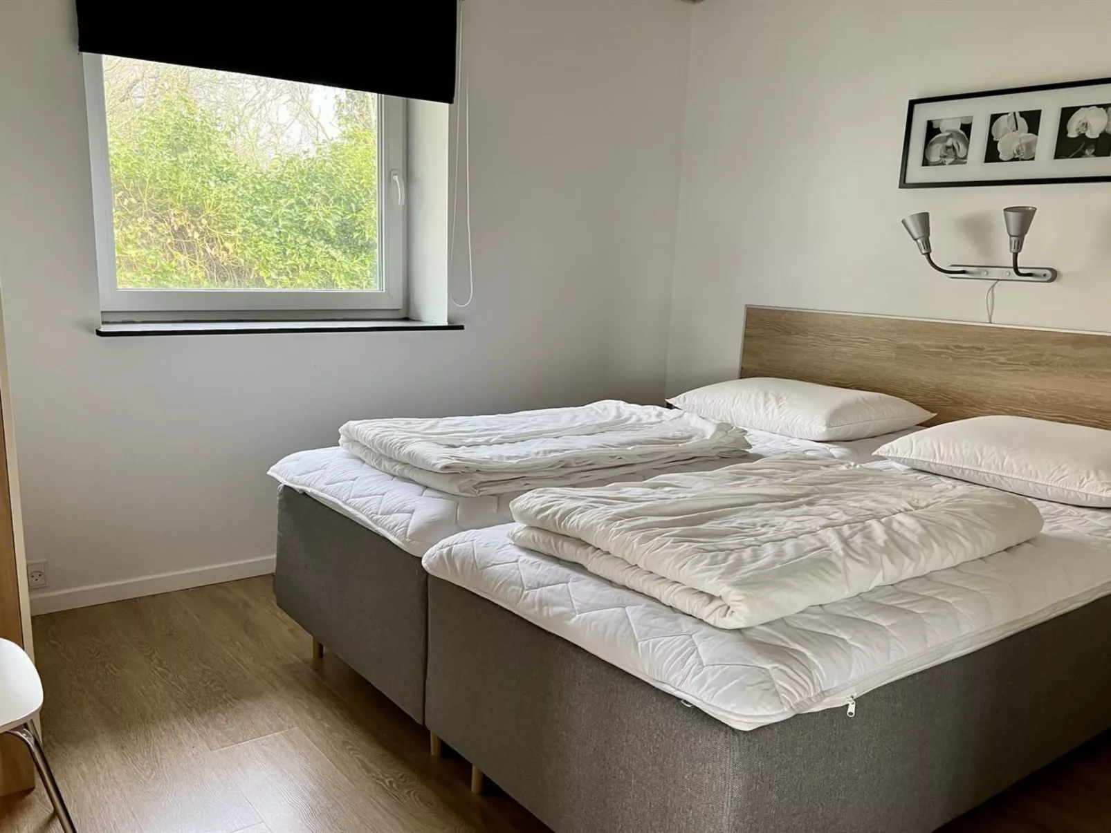 "Stefania" - 700m from the sea-Inside