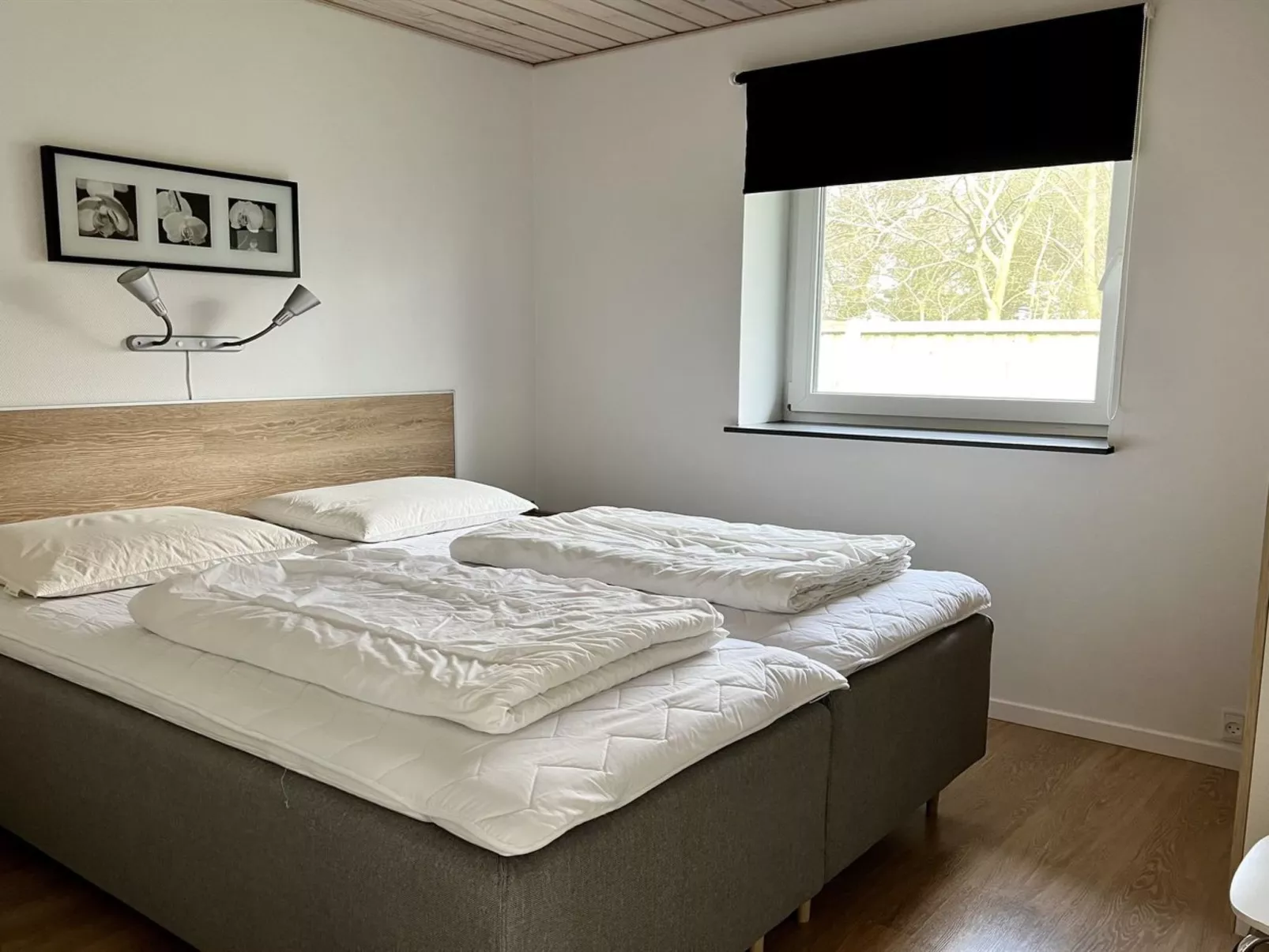 "Stefania" - 700m from the sea-Inside