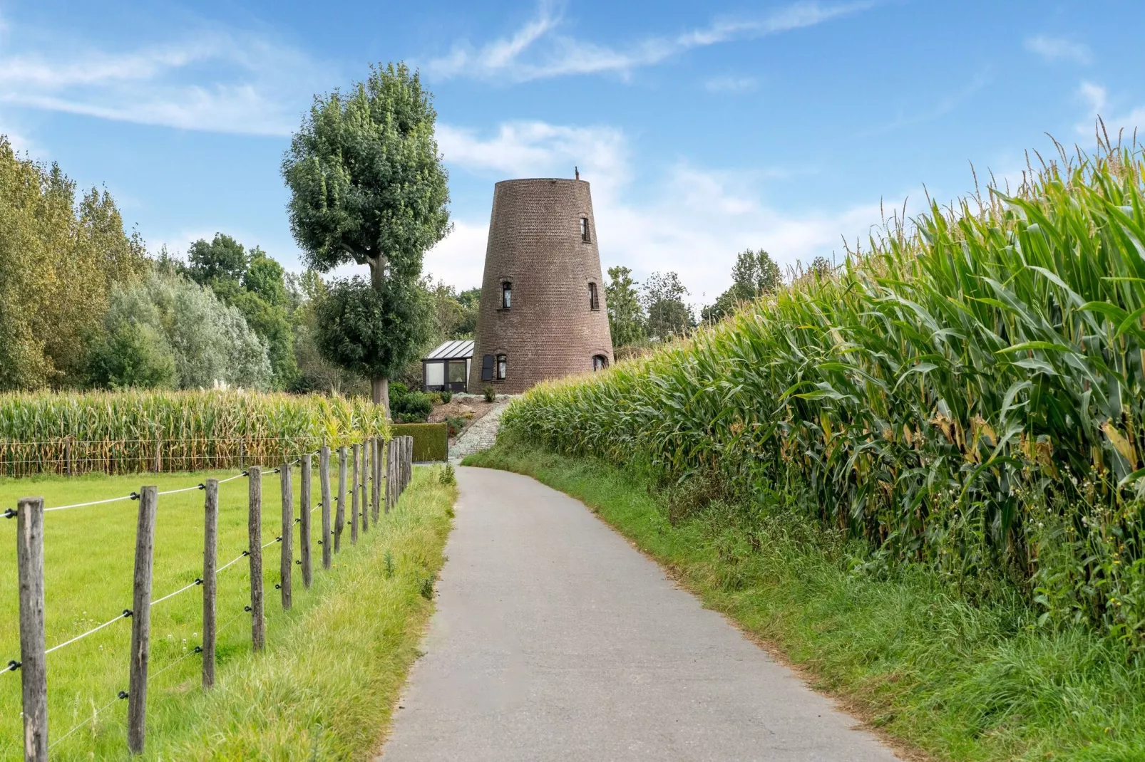 Nieuwpoortmolen-Areas summer 1km