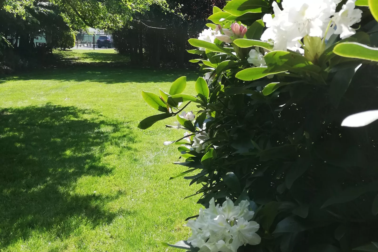 Nuvola-Gardens summer