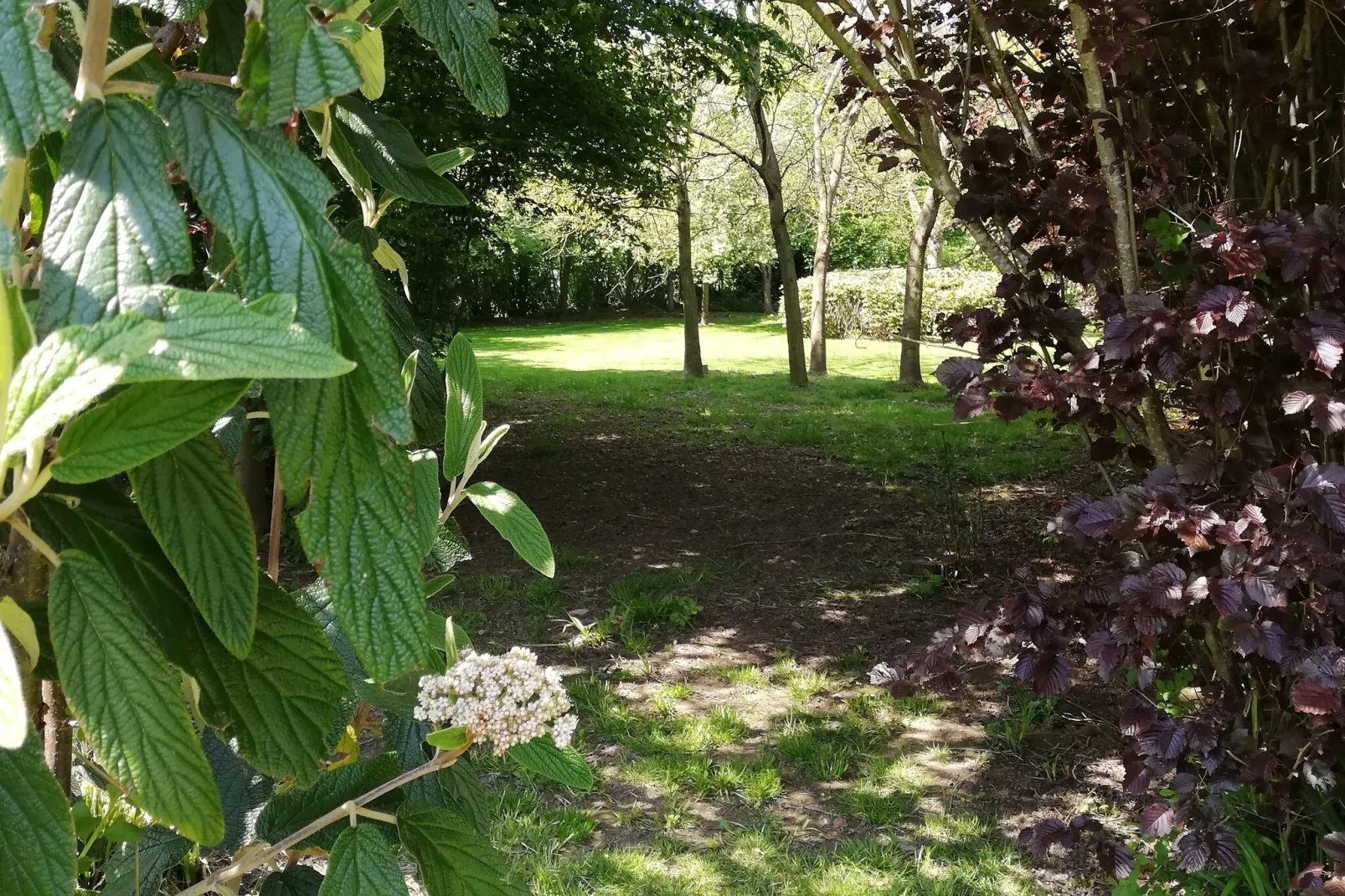 Nuvola-Gardens summer