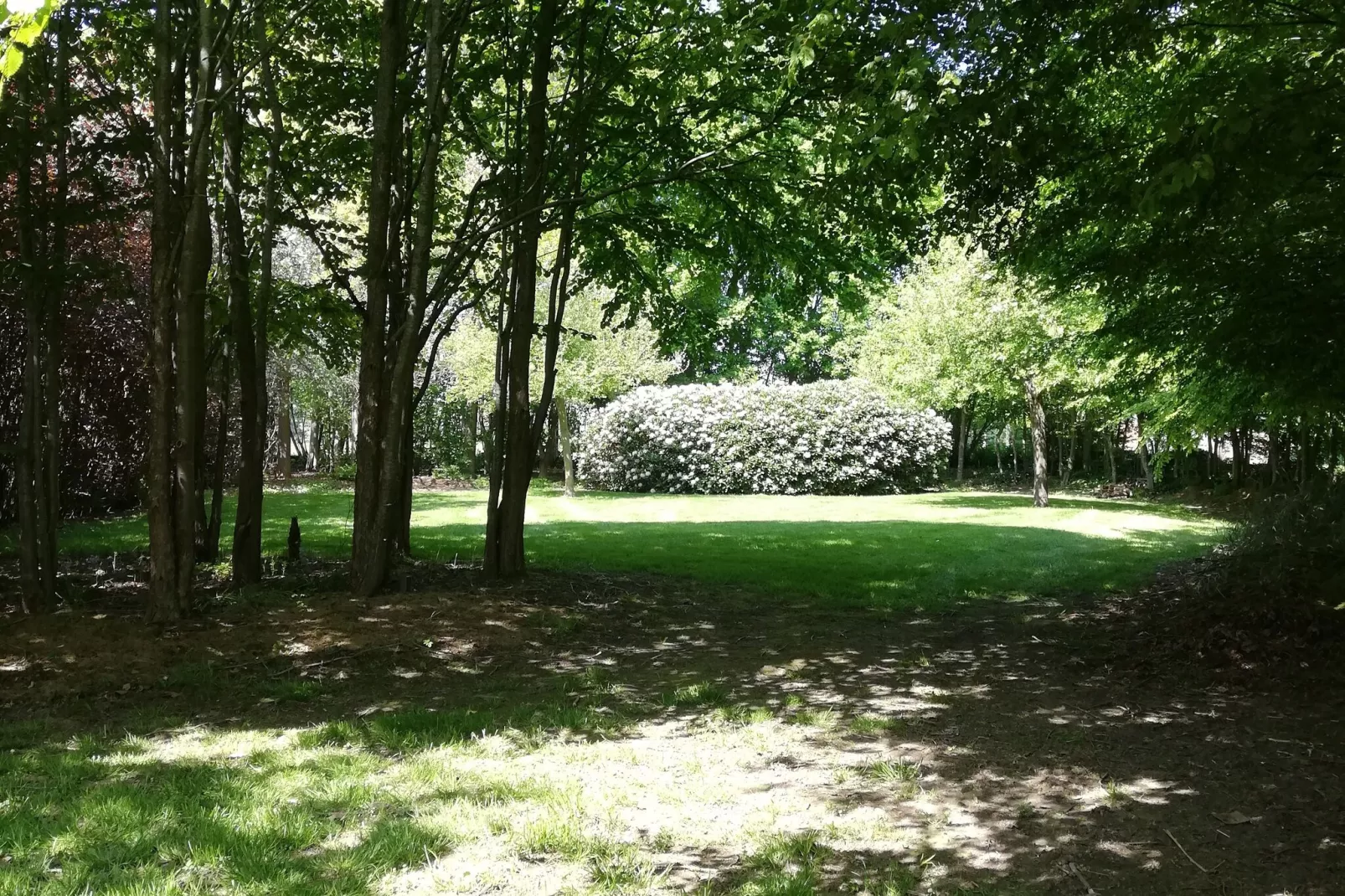 Nuvola-Gardens summer